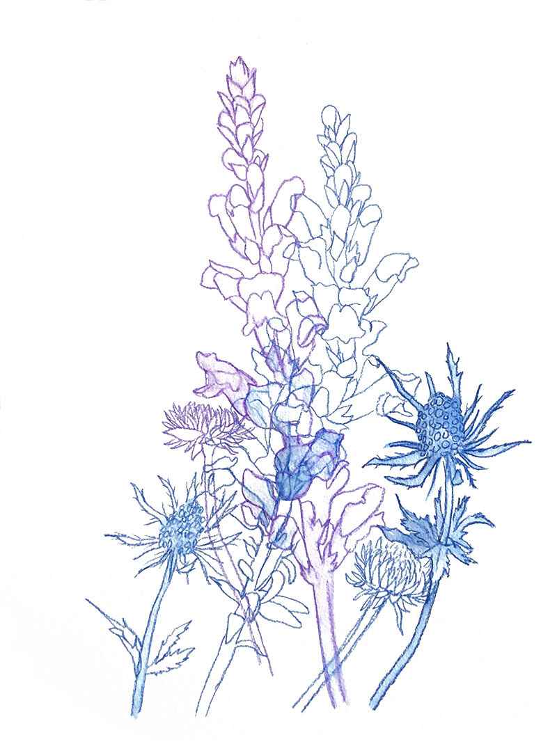 Arrangement 3 | 2023 | Watercolor and watercolor pencil | 9 x 12"