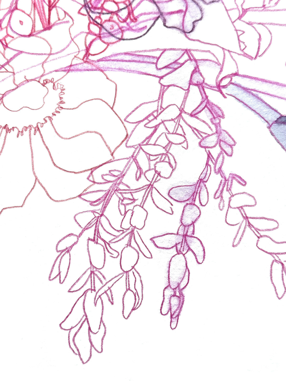 Arrangement 1 (detail)  |  2023  |  Watercolor and watercolor pencil  |  14.75 x 14.75"