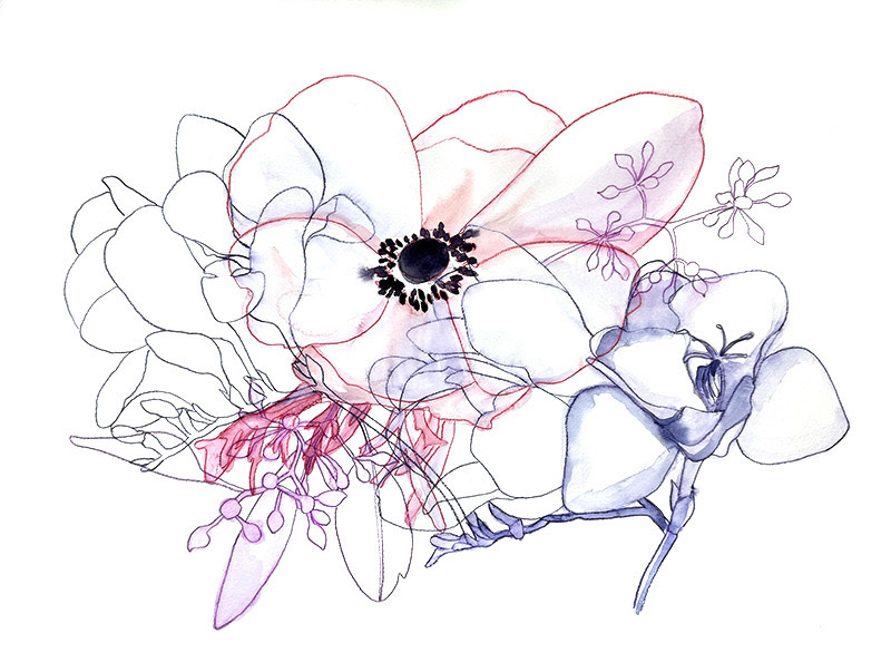 Entangled Anemone No. 3 | 2025 | Watercolor and watercolor pencil | 20 x 15