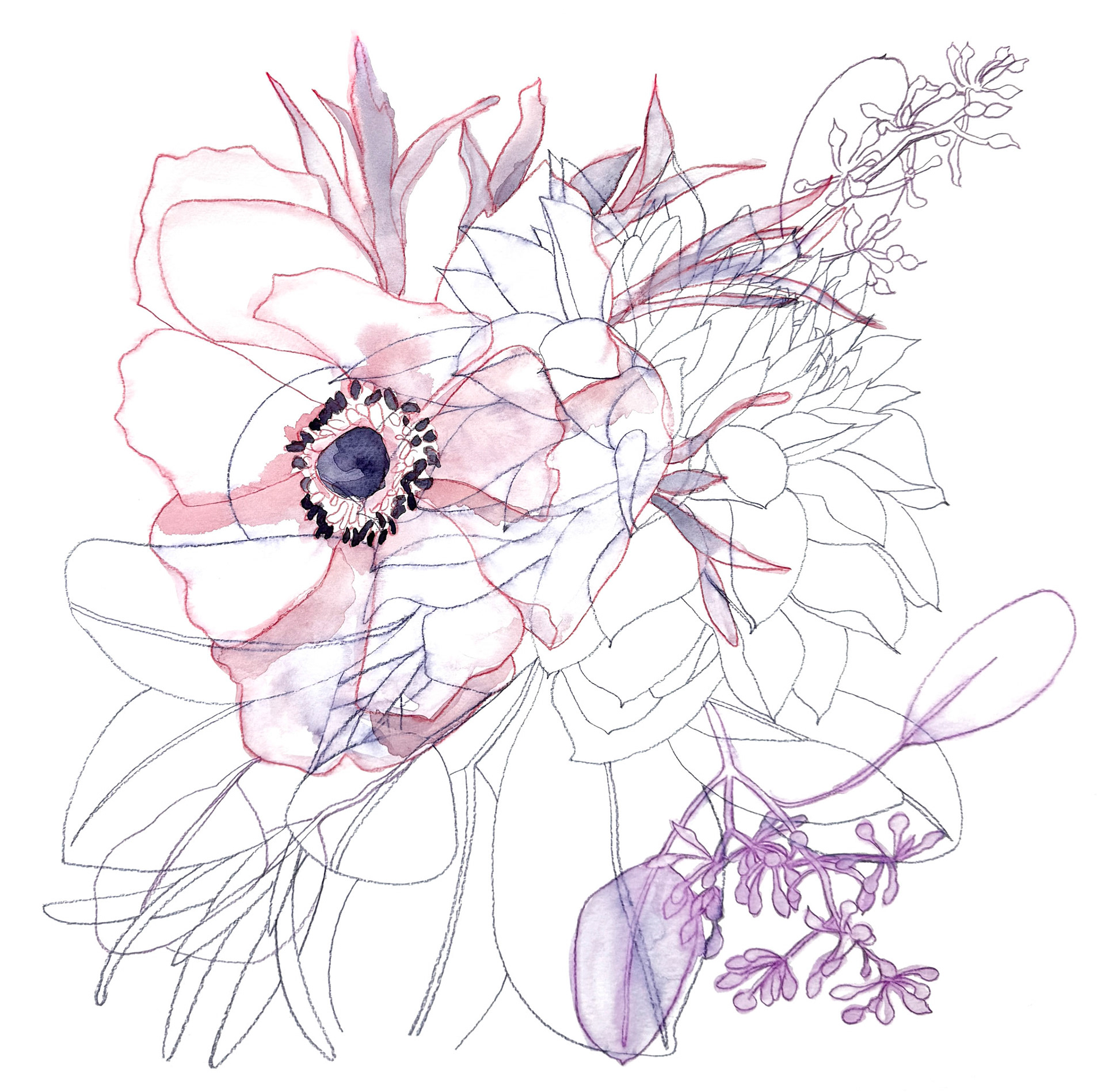 Entangled Anemone No. 1 | 2025 | Watercolor and watercolor pencil | 15 x 15"