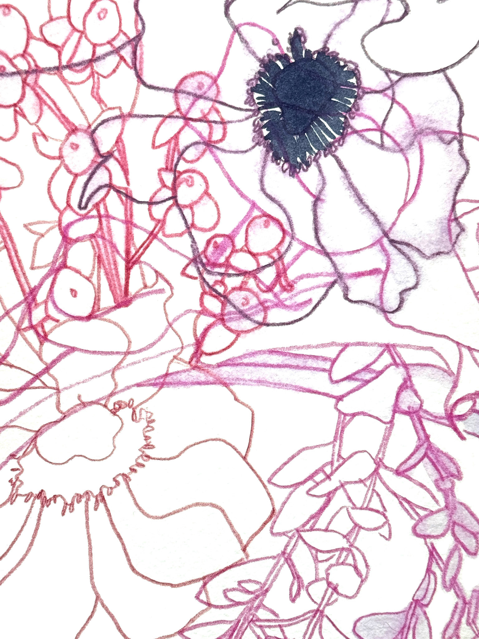 Arrangement 1 (detail)  |  2023  |  Watercolor and watercolor pencil  |  14.75 x 14.75"