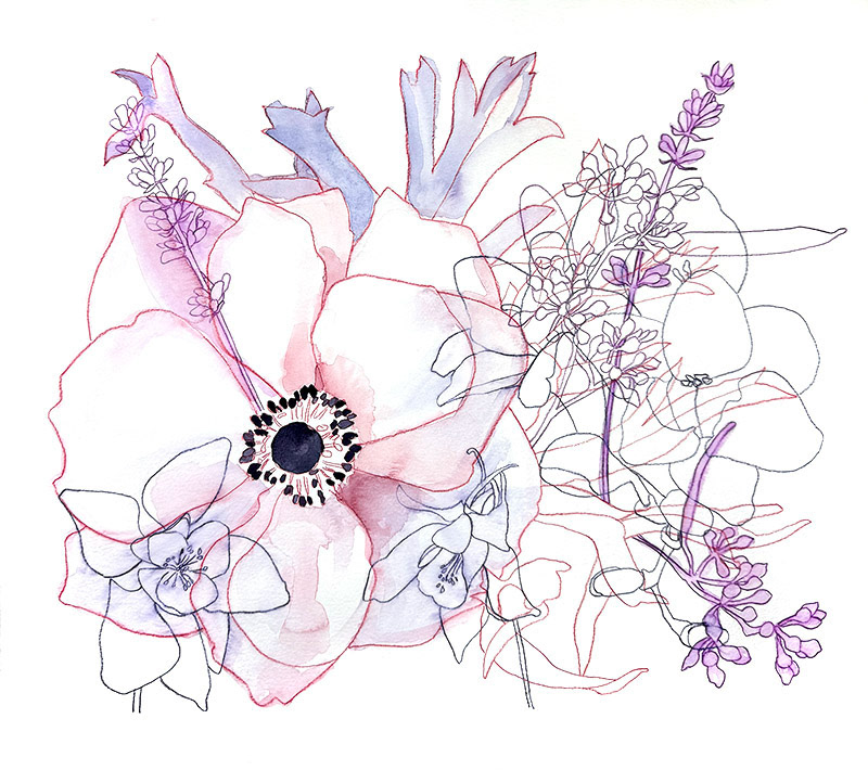 Entangled Anemone No. 2 | 2025 | Watercolor and watercolor pencil | 17 x 15"