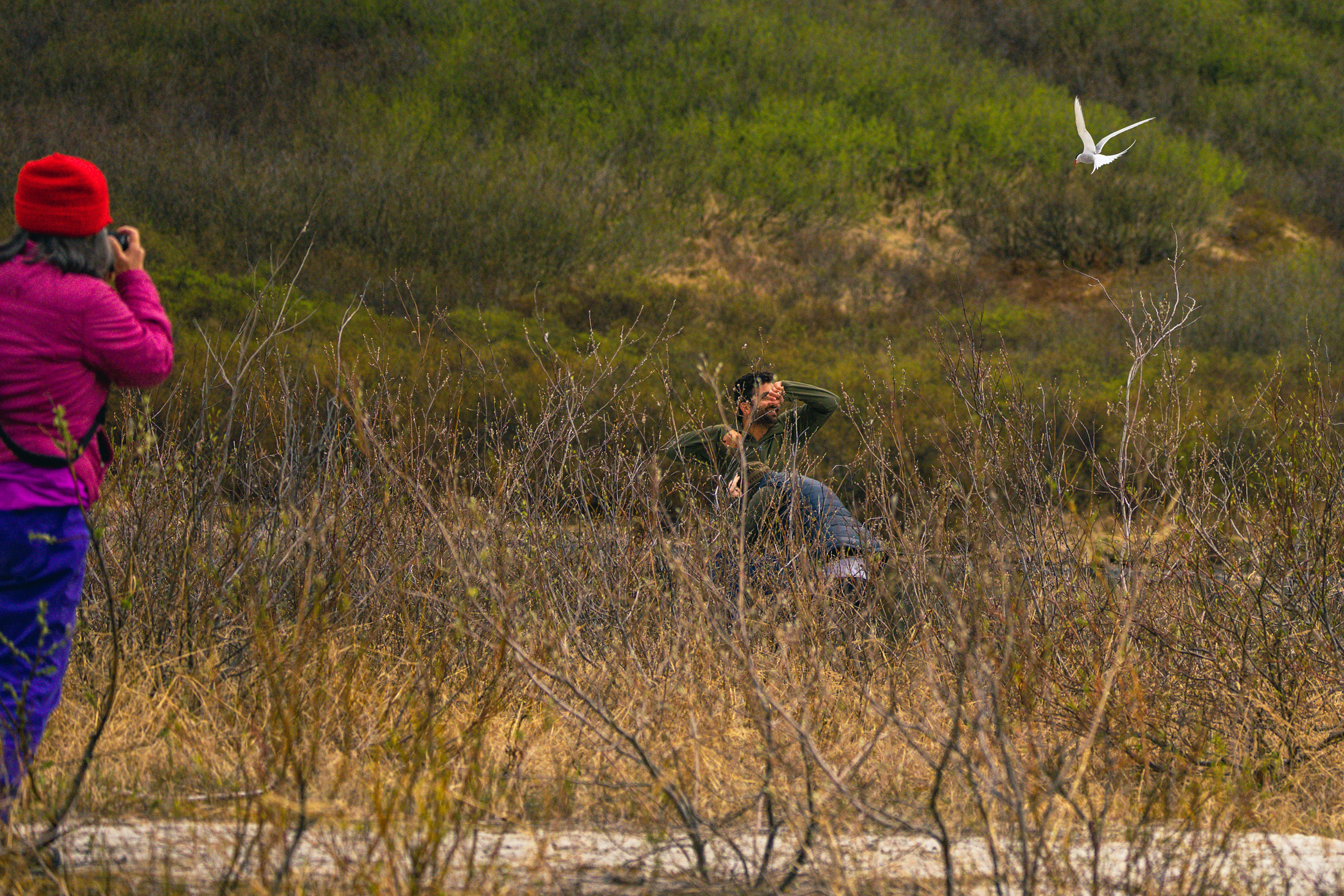 Until we got too close to their nest...