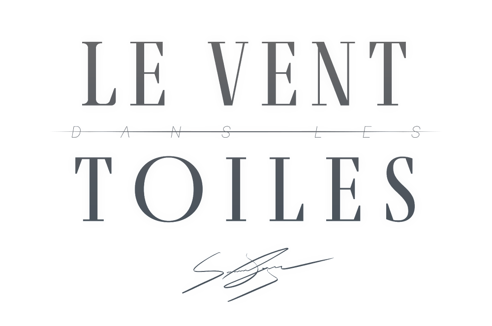 Logo LE VENT DANS LES TOILES 