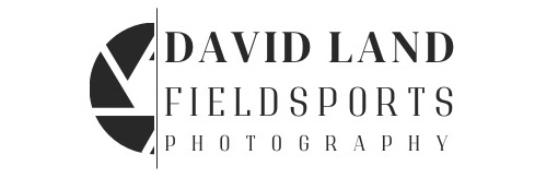David Land