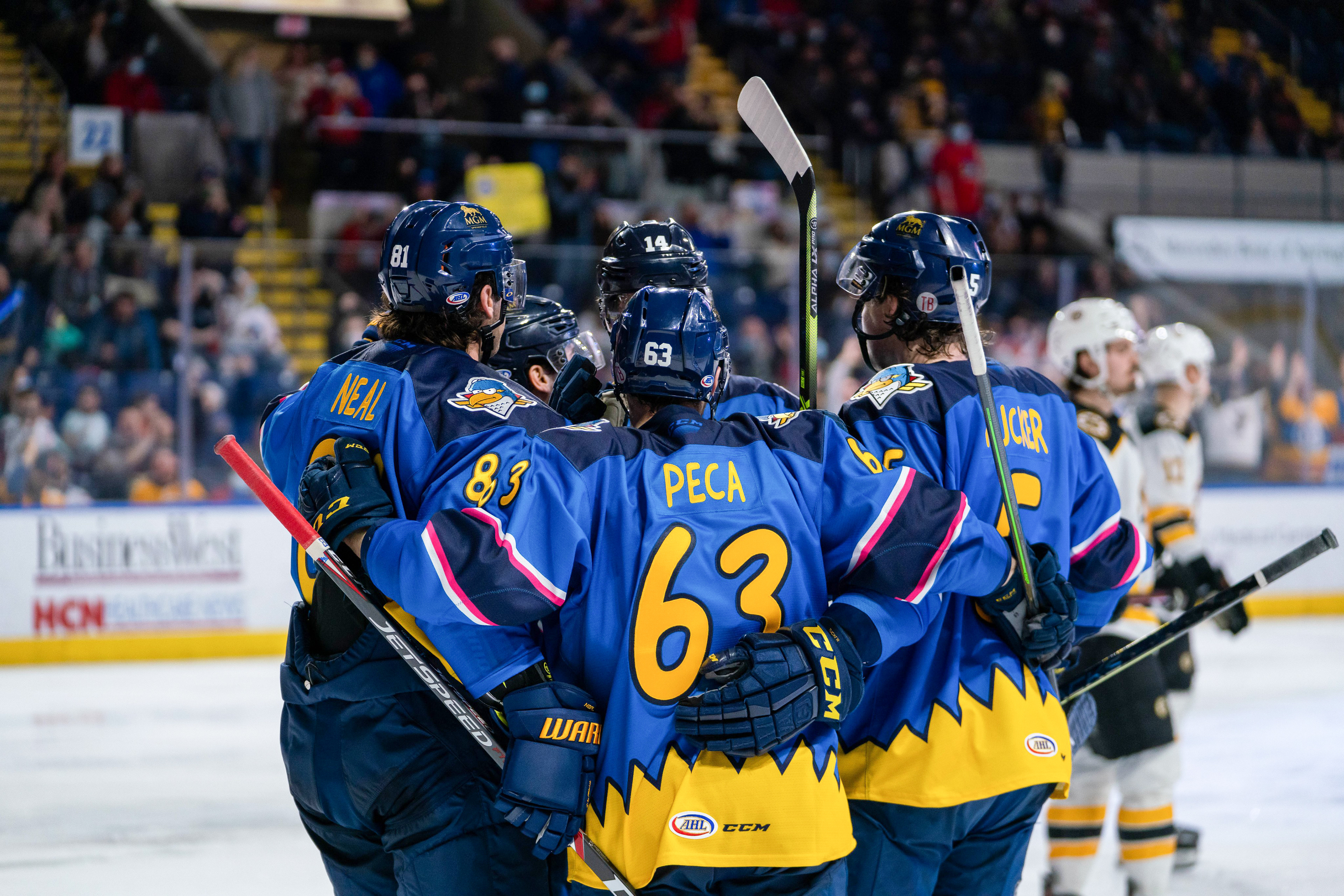 Springfield Thunderbirds Springfield Thunderbirds