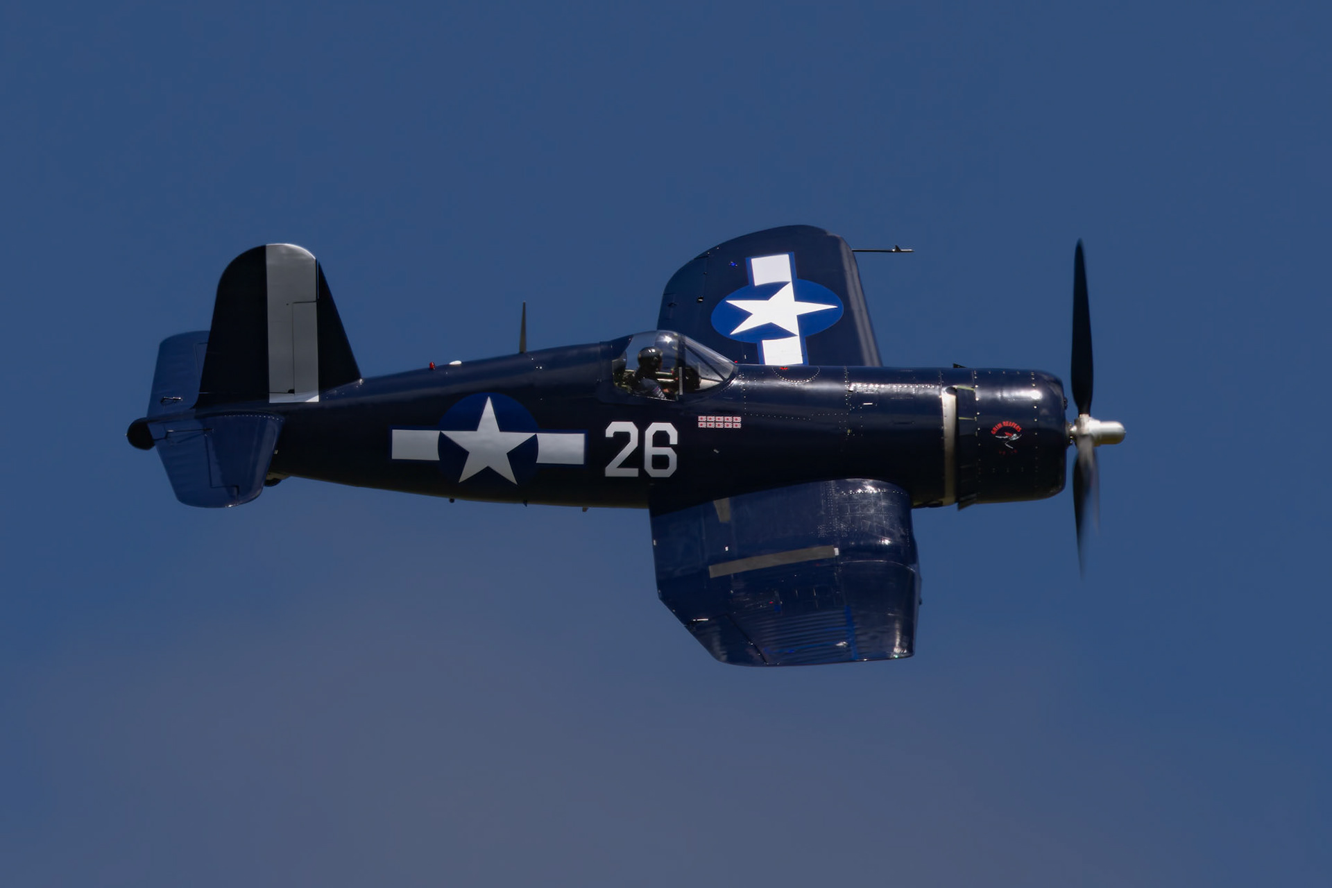 Paul Bennet in the Vought Corsair F4U-1D [VH-NQW] at the Barrington Coast Airshow in Taree, New South Wales, Australia. 9th of November, 2024