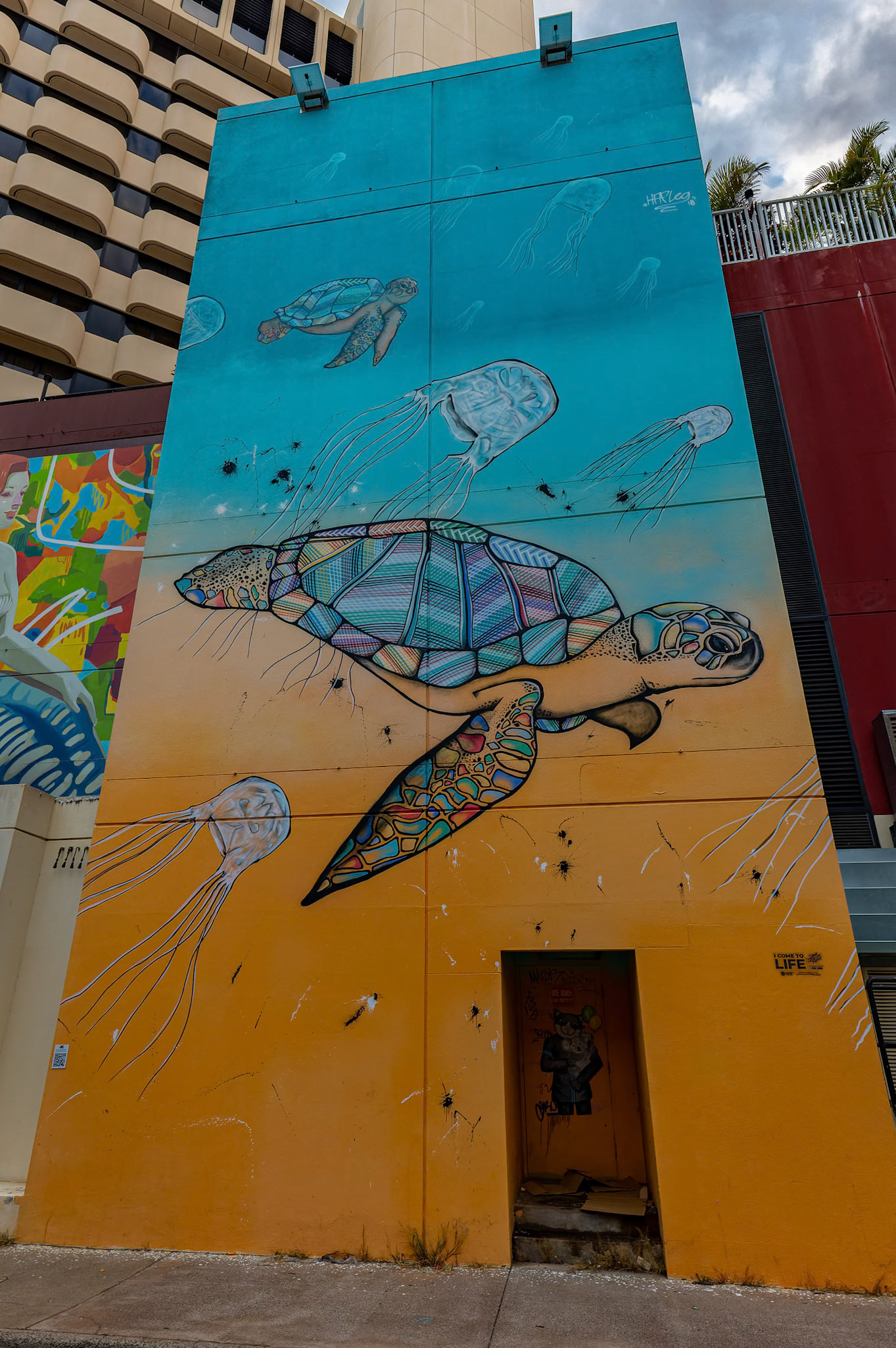 Turtle street Artwork by Shaun Lee, on West Lane in Darwin, Australia