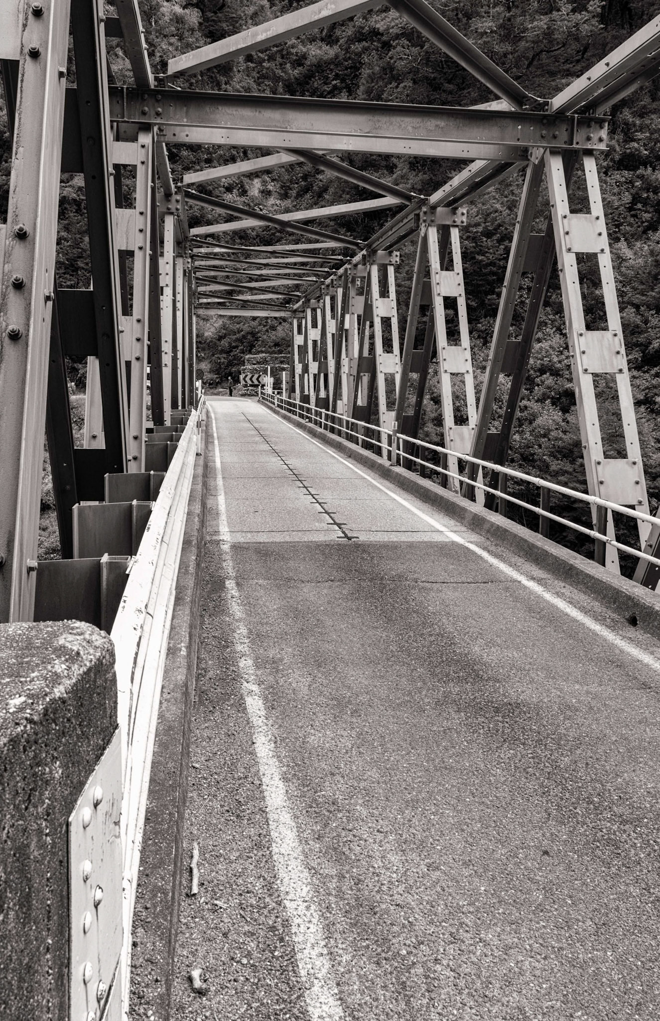 Gates of Haast on the West Coast, New Zealand