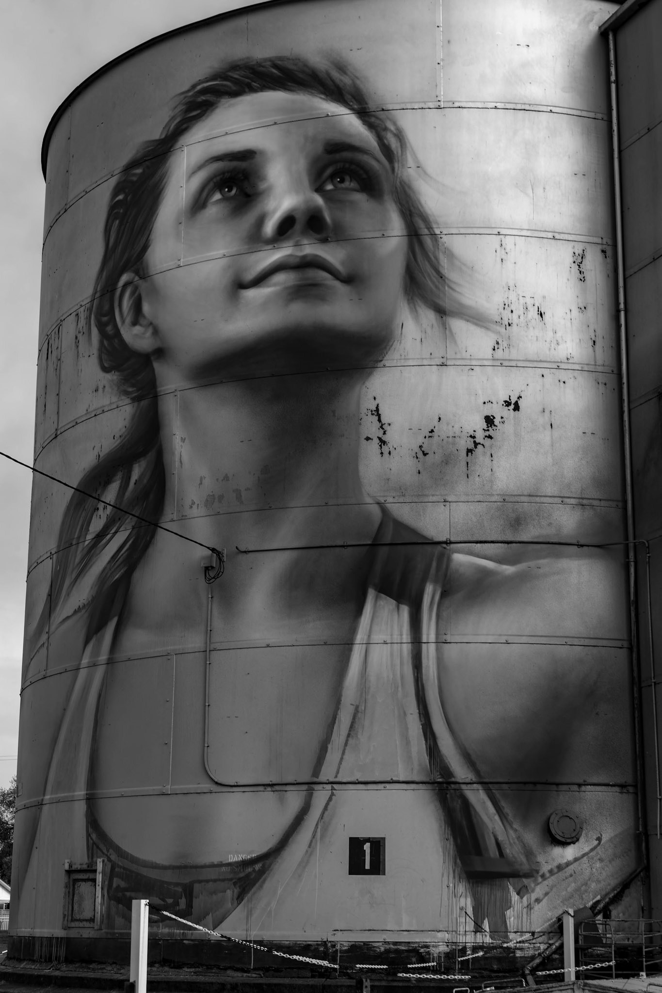 Rupanyup Silo Art by Julia Volchkova in Rupanyup, Victoria, Australia