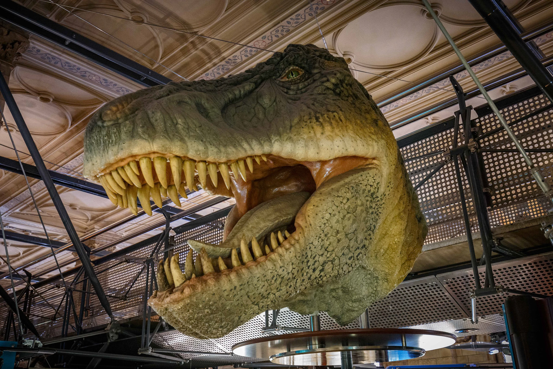 T-Rex at the Natural History Museum in London, England