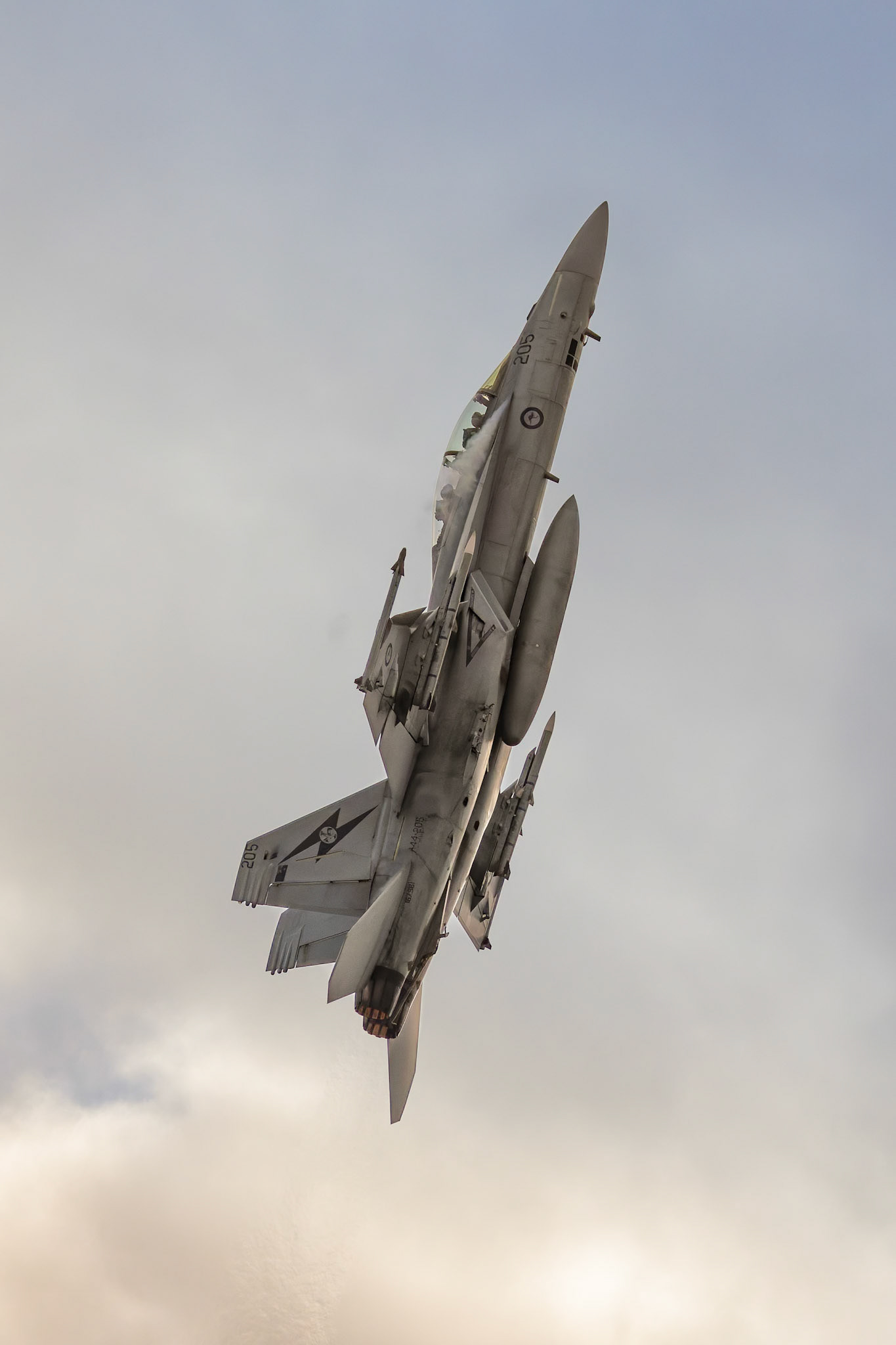 RAAF FA-18F Super Hornet on display at the Avalon Airshow in Victoria, Australia