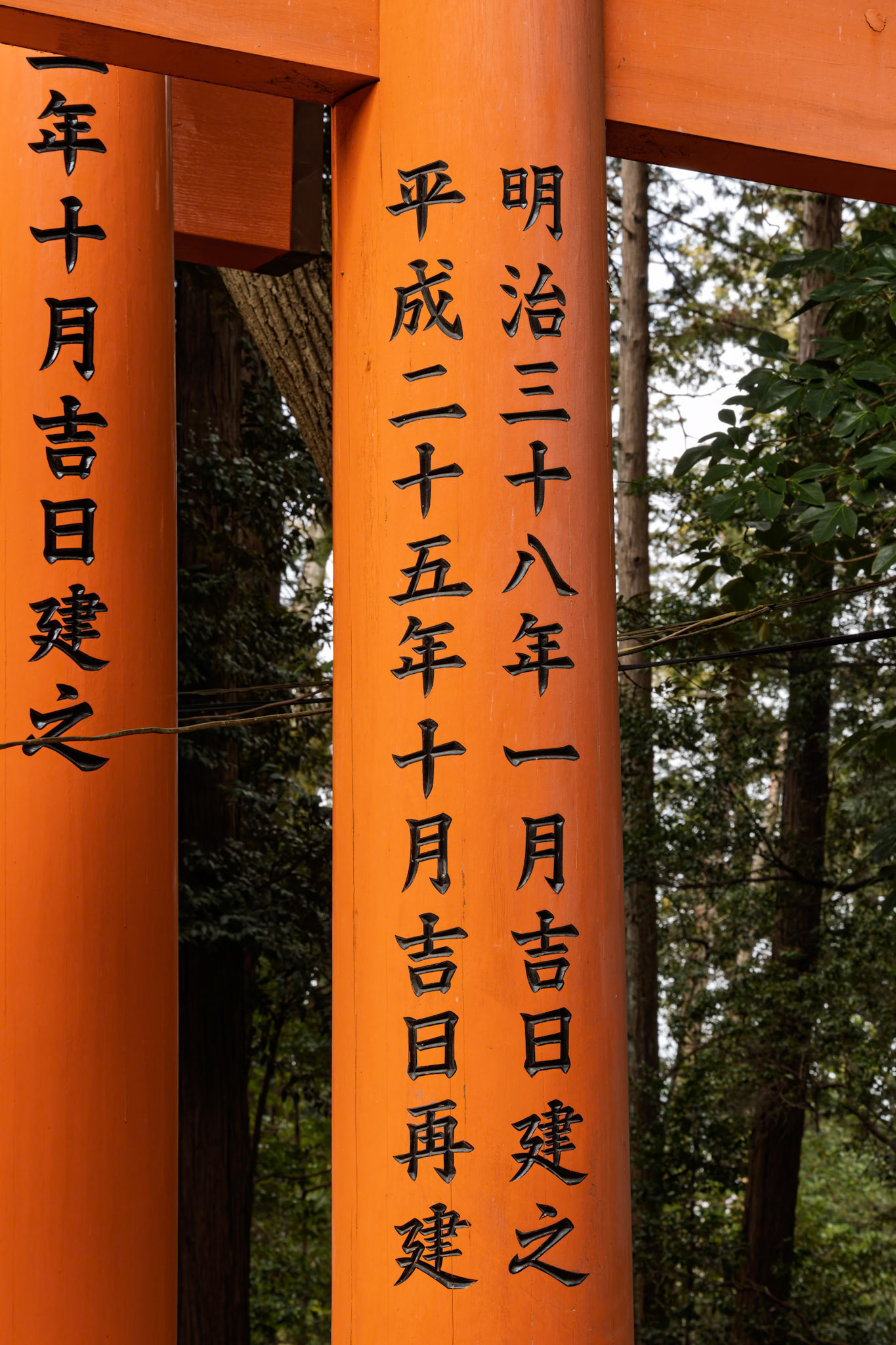 Senbon Torii (Thousand Torii Gates) at Fushimi Inari Taisha in Fushimi Ward, Kyoto,  Japan