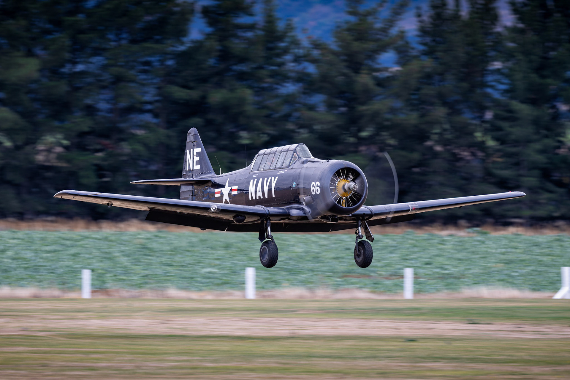 North American AT-6D Harvard III (Navy) [ZK-ENE] on display at Warbirds over Wanaka, New Zealand
