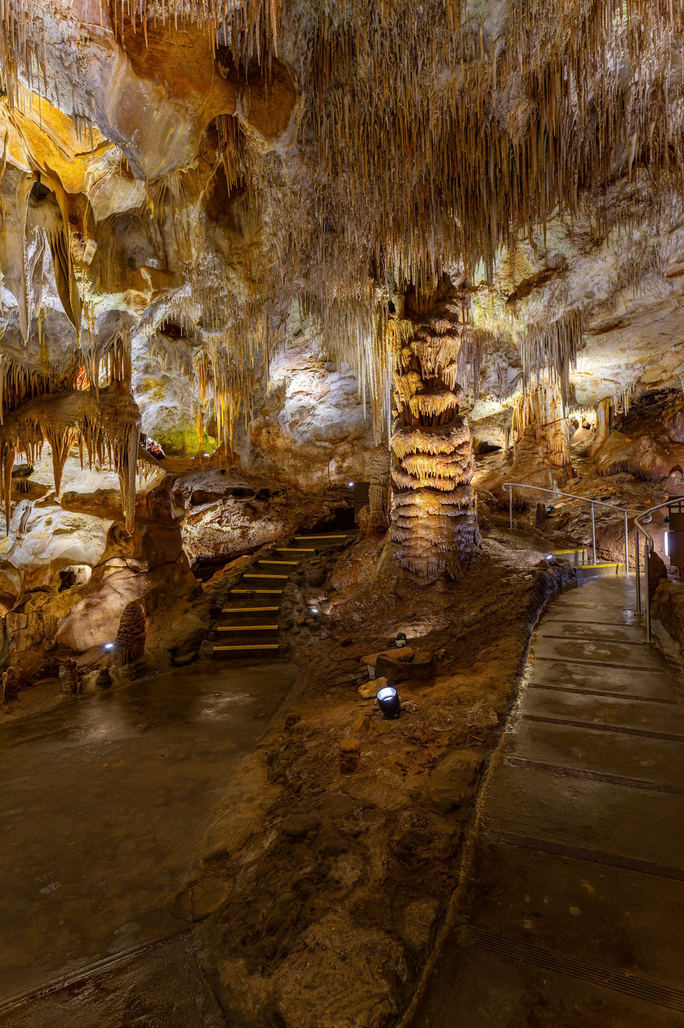 Tantanoola Caves Conservation Park outside of Tantanoola in South Australia, Australia