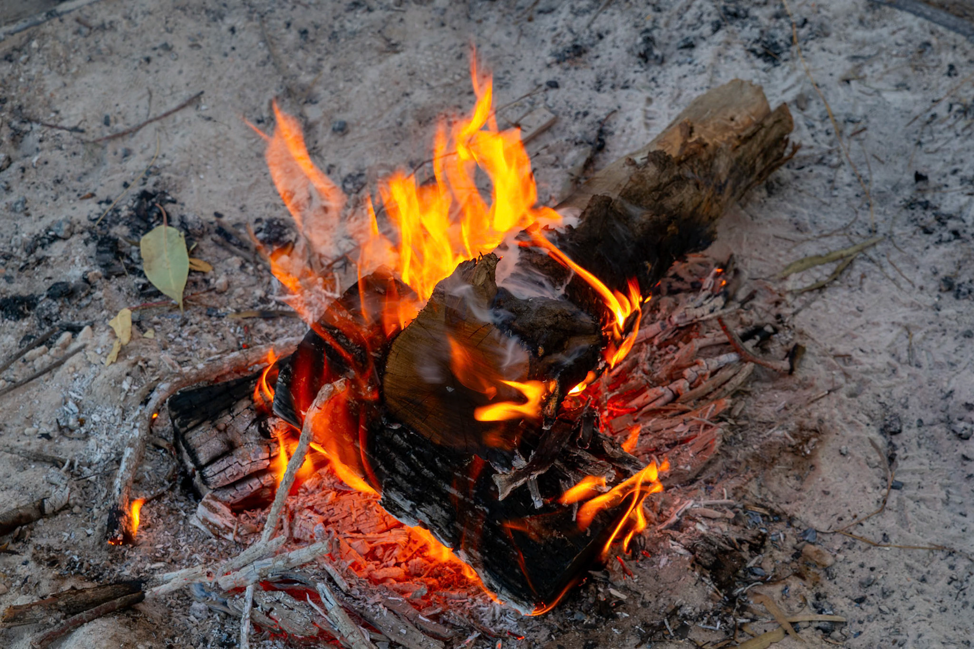 Billabong Campsite inside the Dubbo Zoo in Dubbo, Australia