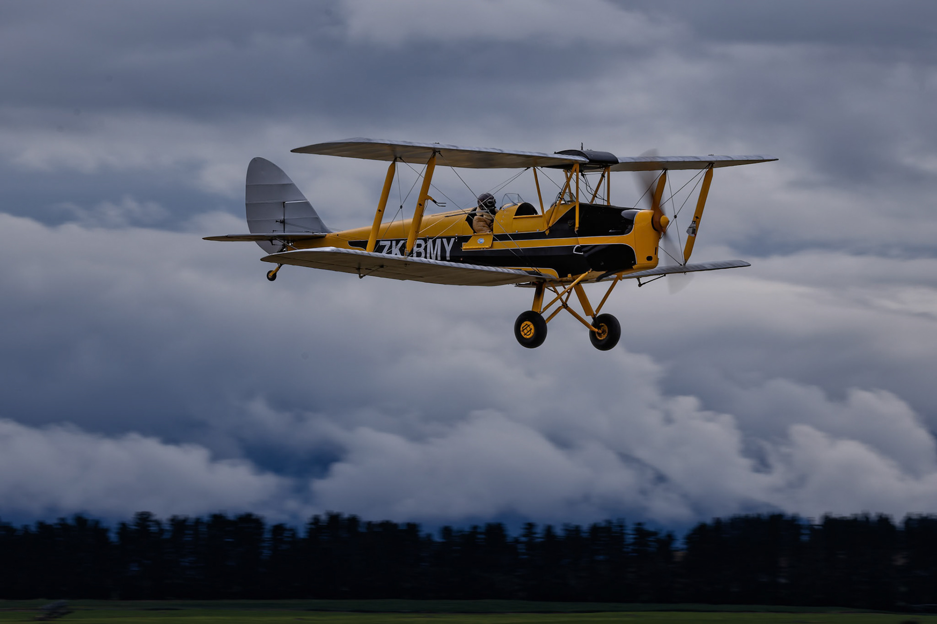 De Havilland DH-82 Tiger Moth (Yellow-Black) [ZK-BMY] on display at Warbirds over Wanaka, New Zealand