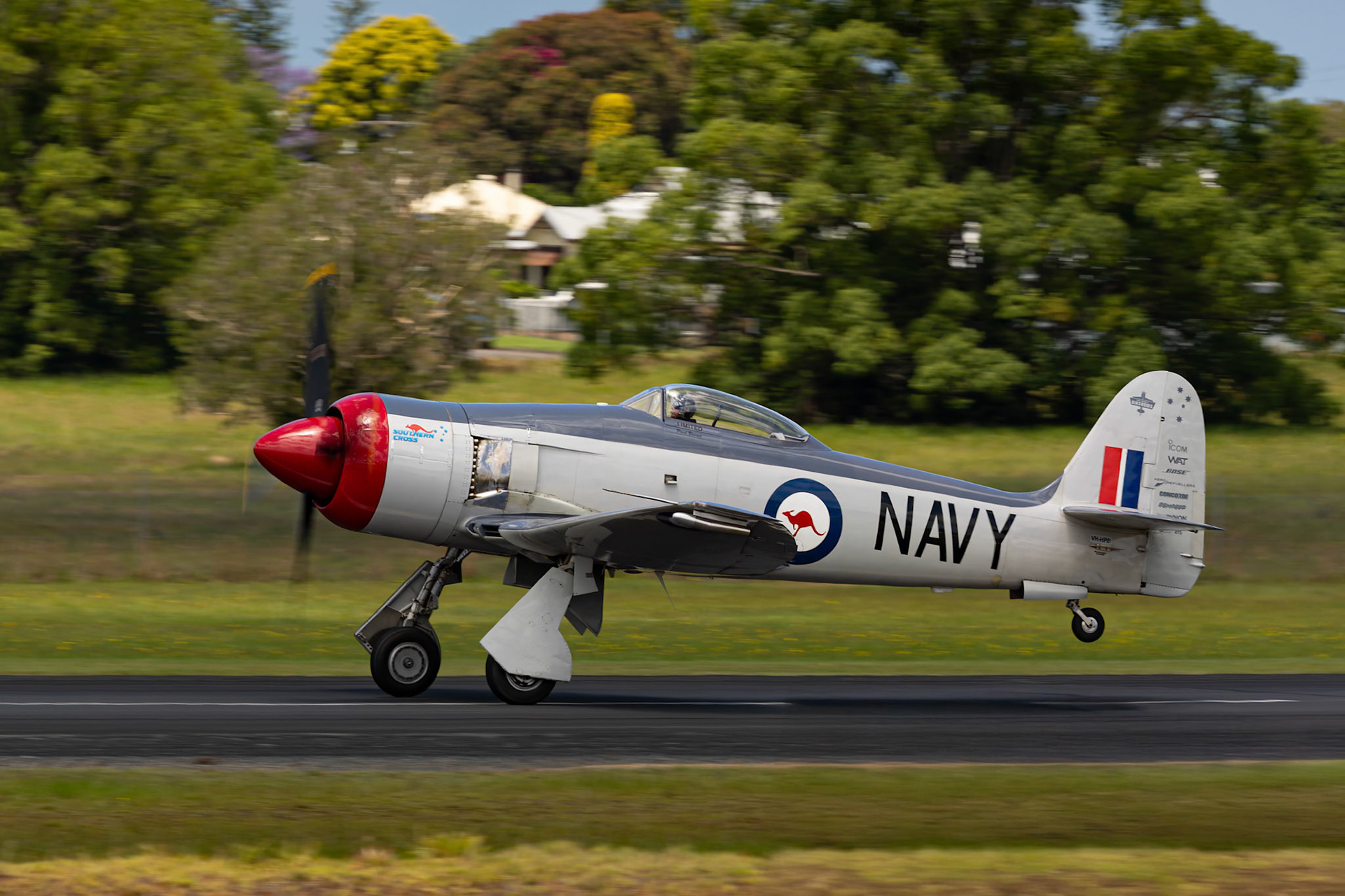 Paul Bennet in the Hawker Sea Fury Mark II [VH-HPB] at the Barrington Coast Airshow in Taree, New South Wales, Australia. 9th of November, 2024