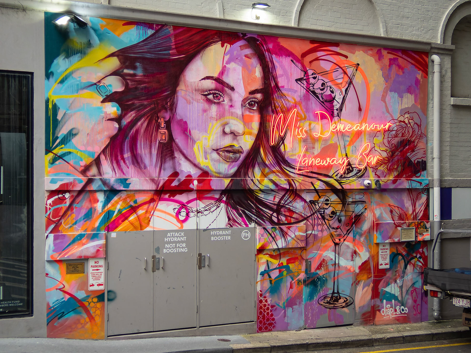 Street art in Rowes Lane, Brisbane City Australia