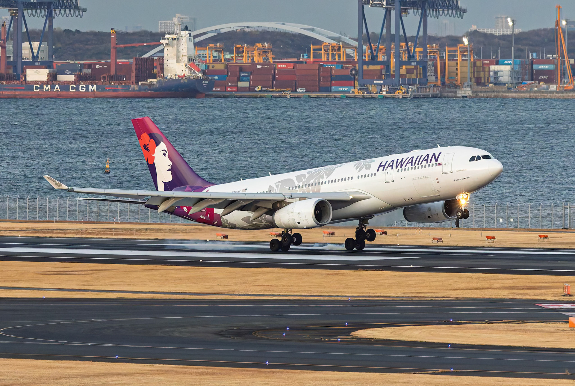 Hawaiian Airlines Airbus A330-243 (N386HA) Arriving from Honolulu, captured from Terminal 2 viewing platform at Haneda Airport in Tokyo, Japan