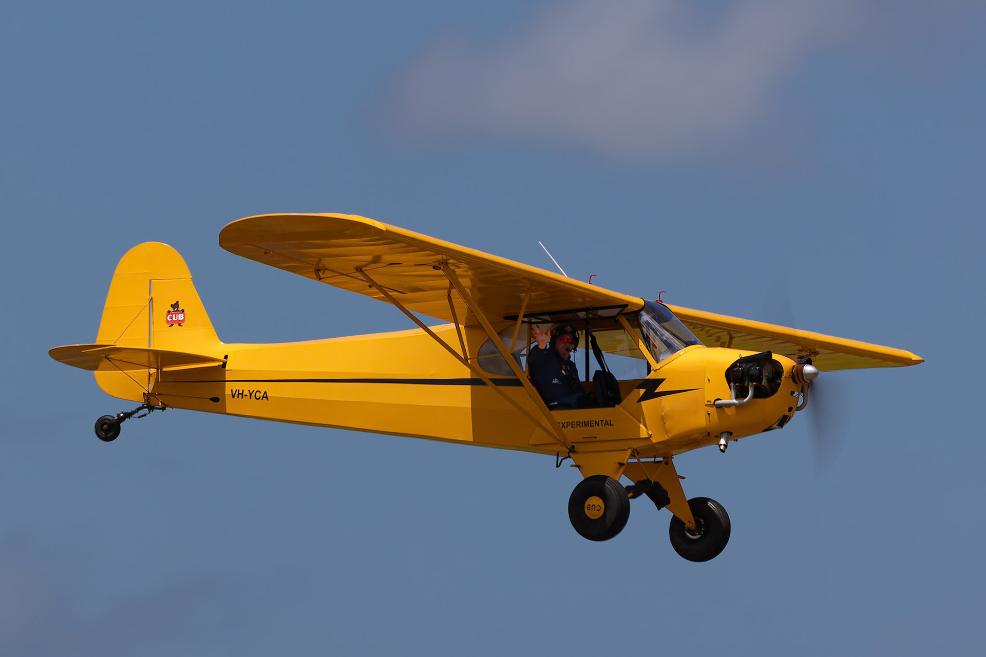 Paul Bennet in the Piper Cub [VH-YCA] Rolling Truck Landing Display at the Barrington Coast Airshow in Taree, New South Wales, Australia. 9th of November, 2024