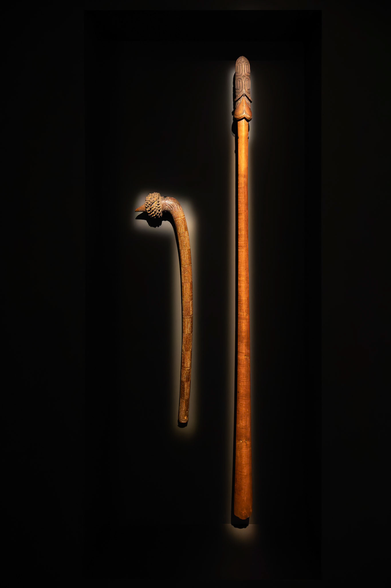 Taiaha (Two-Handed Striking Weapon or Fighting Staff) from the Maori Iwi (Tribe) Aotearoa New Zealand and a Totokia (BattleHammer or Pandanus Club) from Fiji on display inside the Museum of Old and New Art (MONA) in Hobart, Tasmania