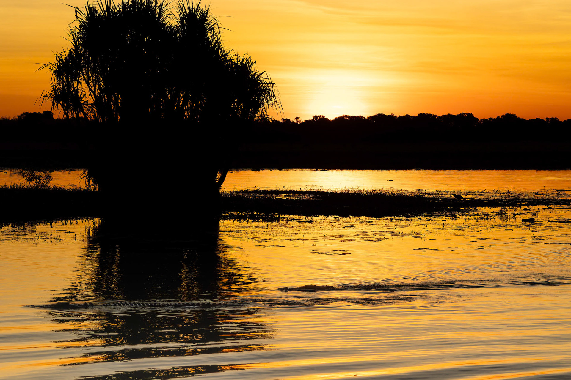 Sunset over Yellow Water (Ngurrungurrudjba) in Kakadu, Northern Territory, Australia