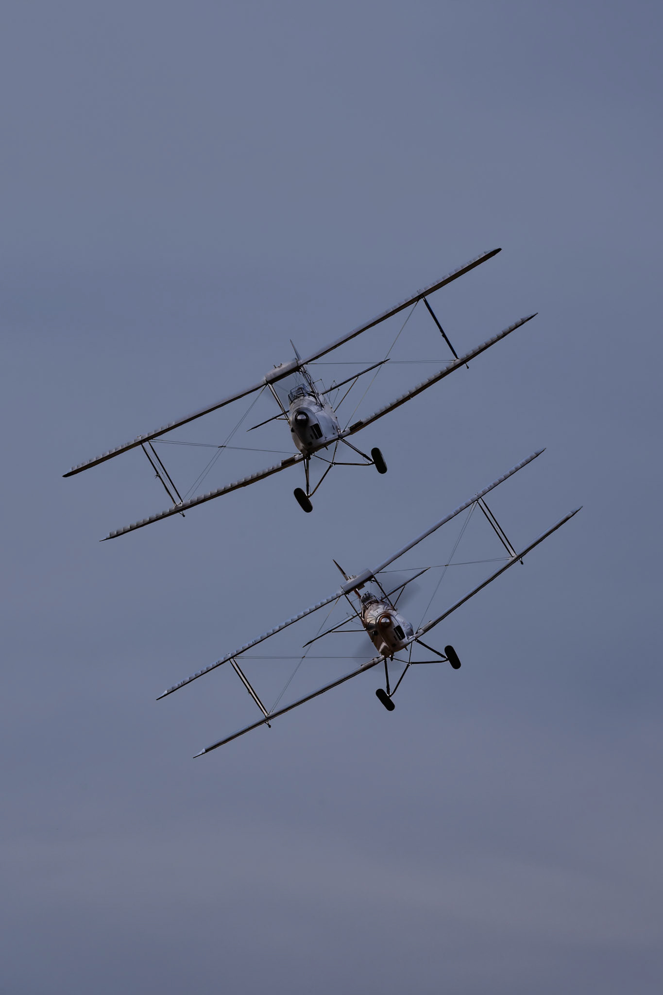 De Havilland DH-82A Tiger Moth (Silver) [ZK-ANL] and De Havilland DH-82 Tiger Moth (Silver Nose) [ZK-BFS] on display at Warbirds over Wanaka, New Zealand