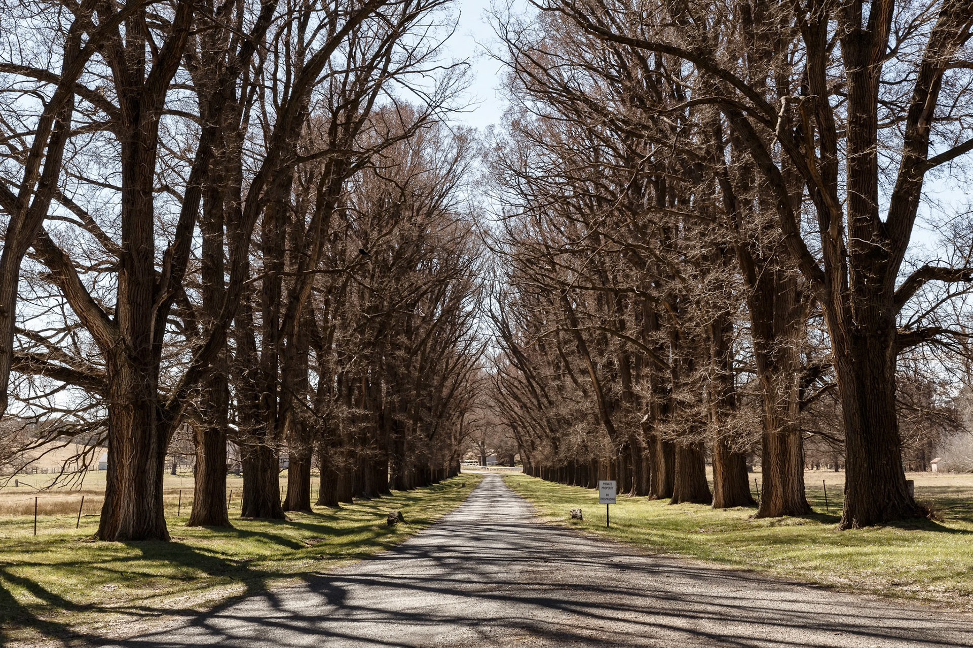 The road leading away from Gostwyck Chapel in New South Wales, Australia