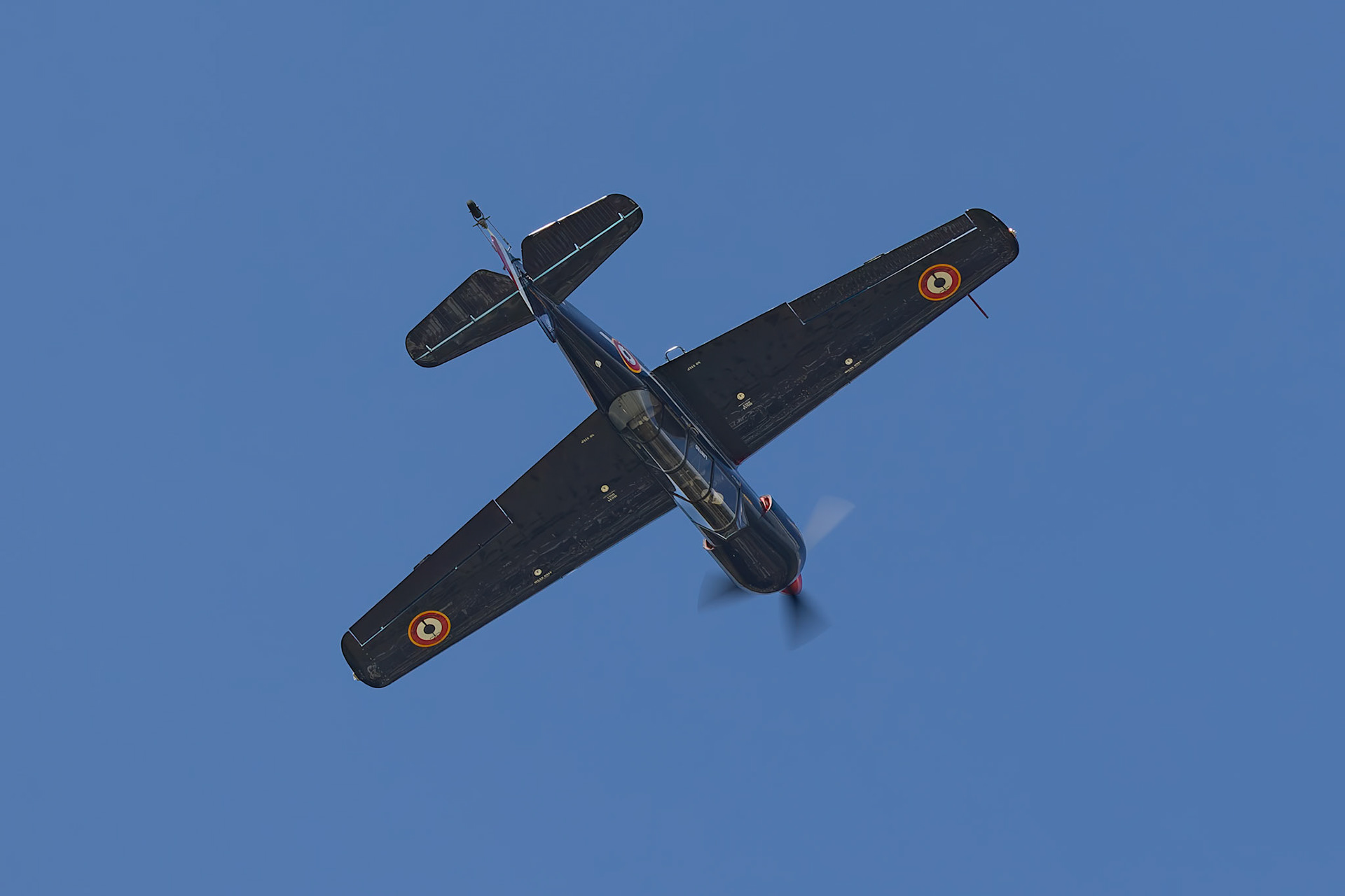 Rod Hall in the Yakovlev Yak-52 [VH-FYK] at the Barrington Coast Airshow in Taree, New South Wales, Australia. 9th of November, 2024