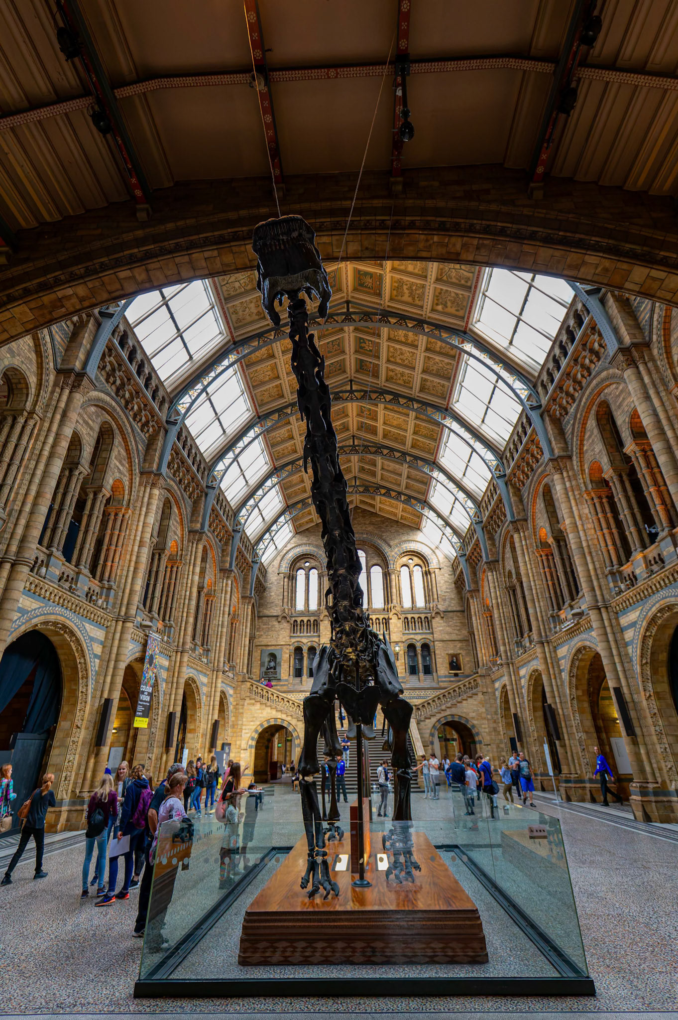 Inside the Natural History Museum in London, England