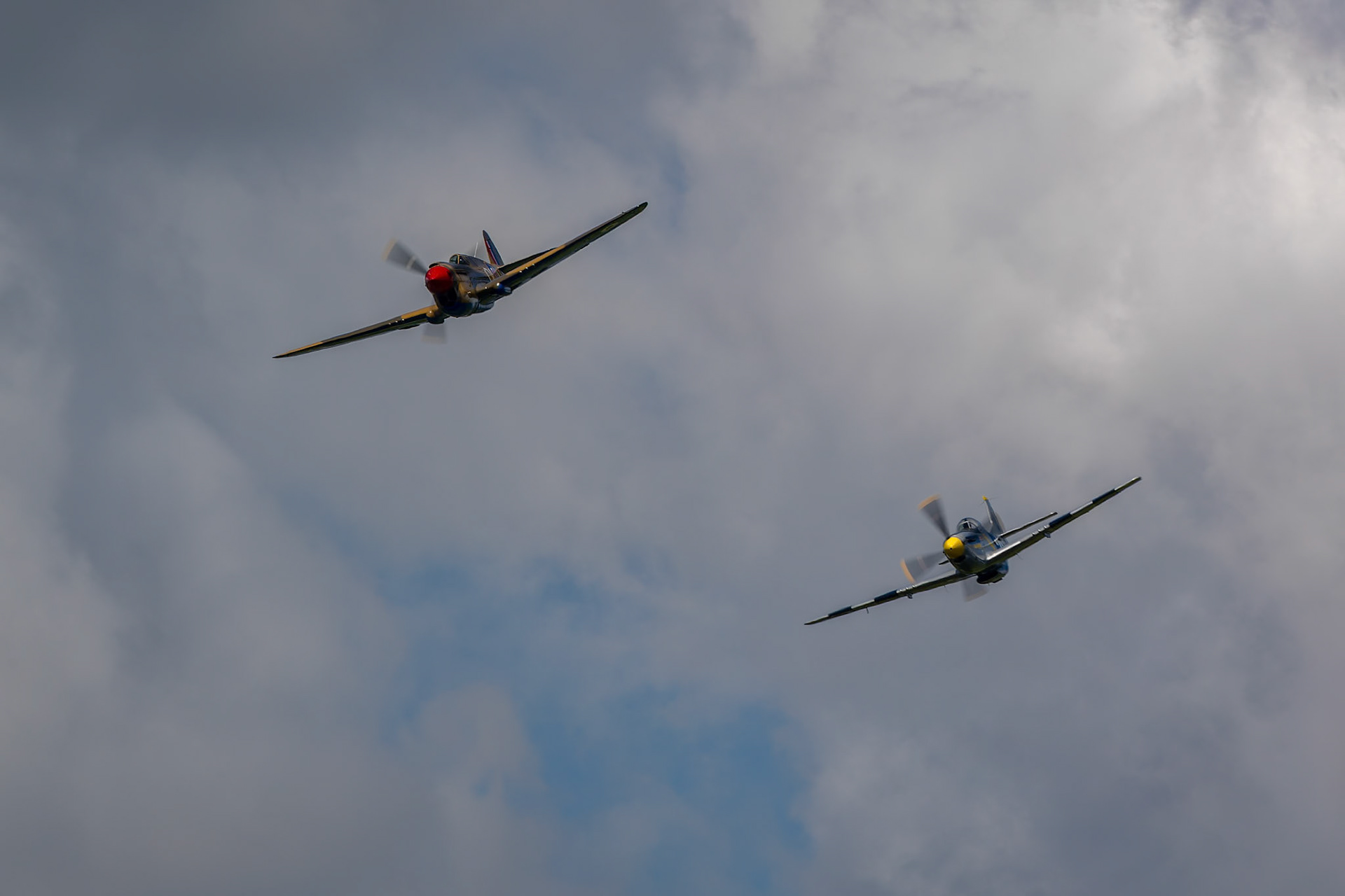 Paul Bennet in the Curtis P-40 Kittyhawk [VH-KTY] at the Barrington Coast Airshow in Taree, New South Wales, Australia. 9th of November, 2024