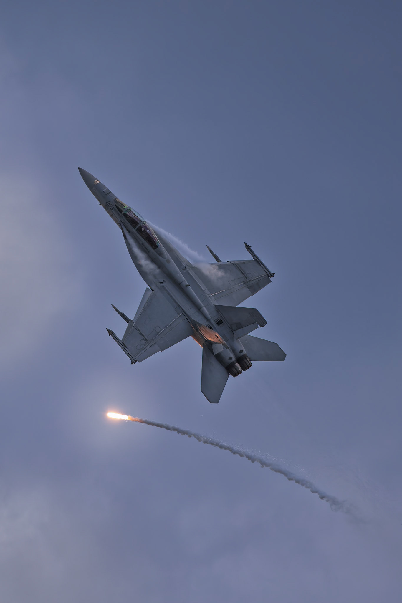 Royal Australian Air Force Boeing FA-18F Super Hornet [A44-203] on display at the Richmond Airshow in New South Wales, Australia