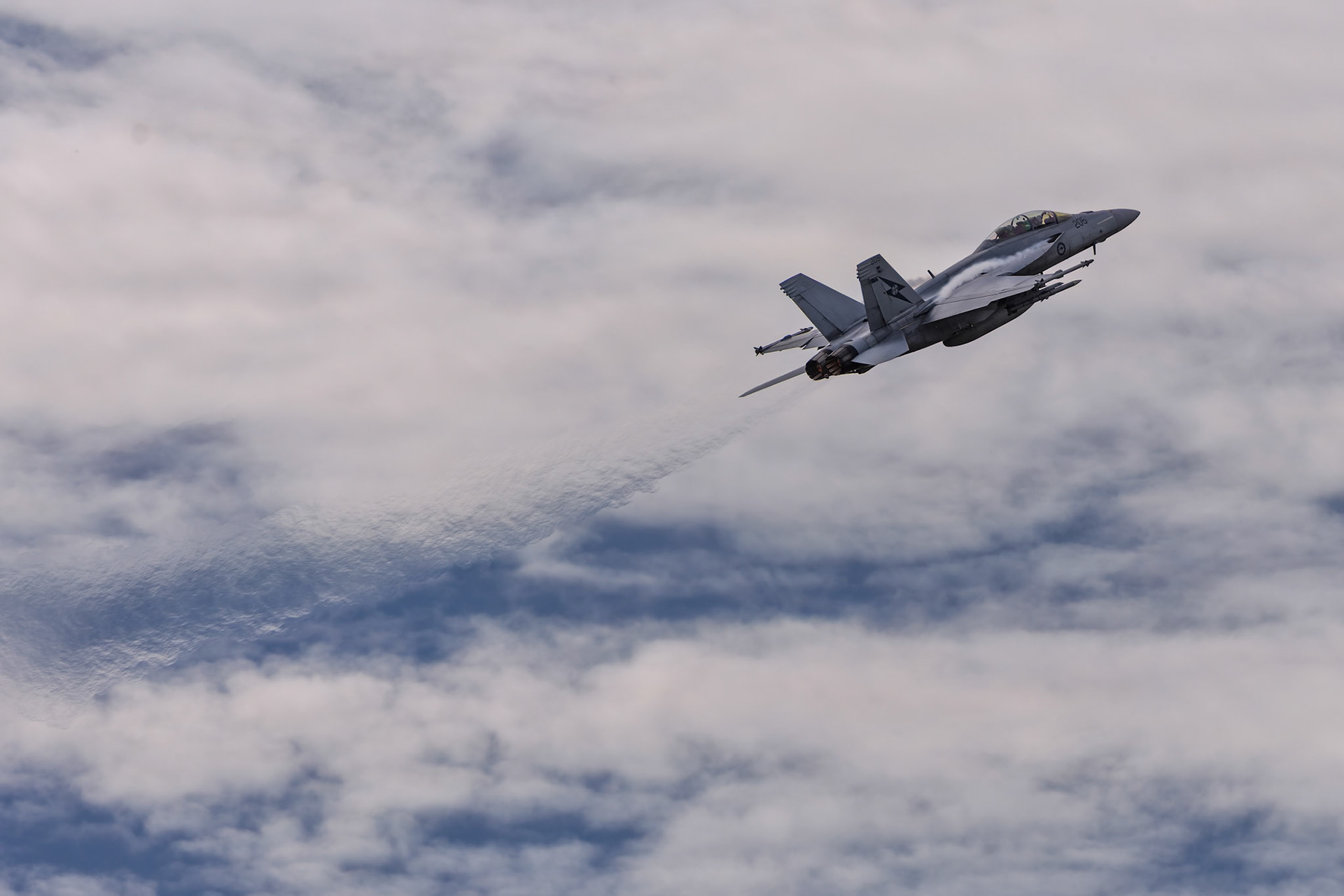 Royal Australian Air Force Boeing FA-18F Super Hornet [A44-205] on display at the Richmond Airshow in New South Wales, Australia