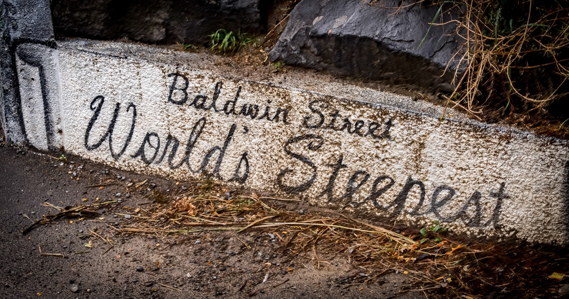 Baldwin Street in Dunedin, New Zealand