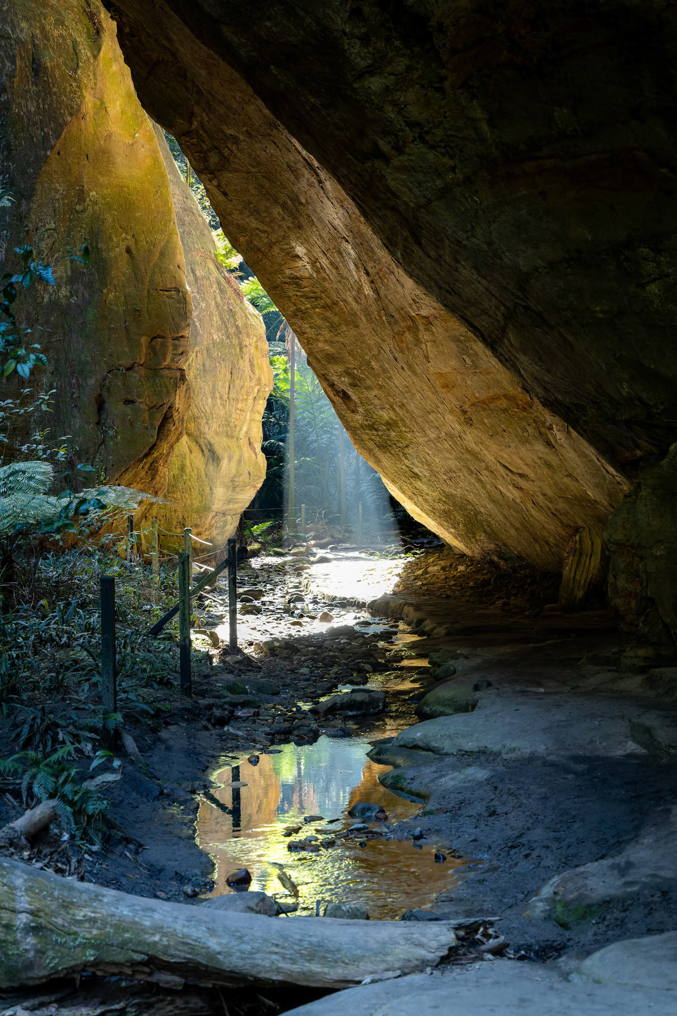 Ward's Canyon in Carnarvon Gorge National Park, Australia