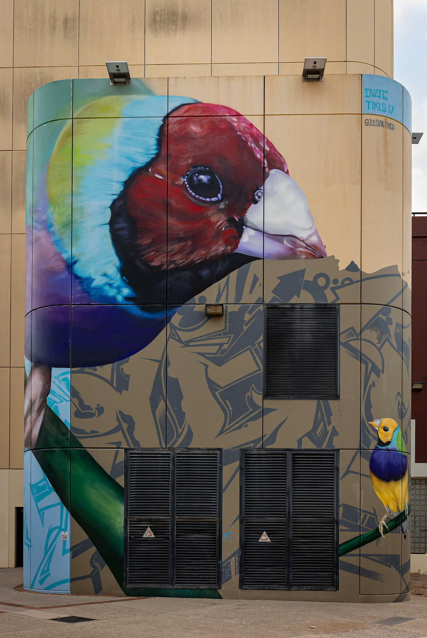 Gouldian Finch street Artwork by Jimmy Dvate and Jesse Bell, on the corner of West Lane and Chapel Lane in Darwin, Australia