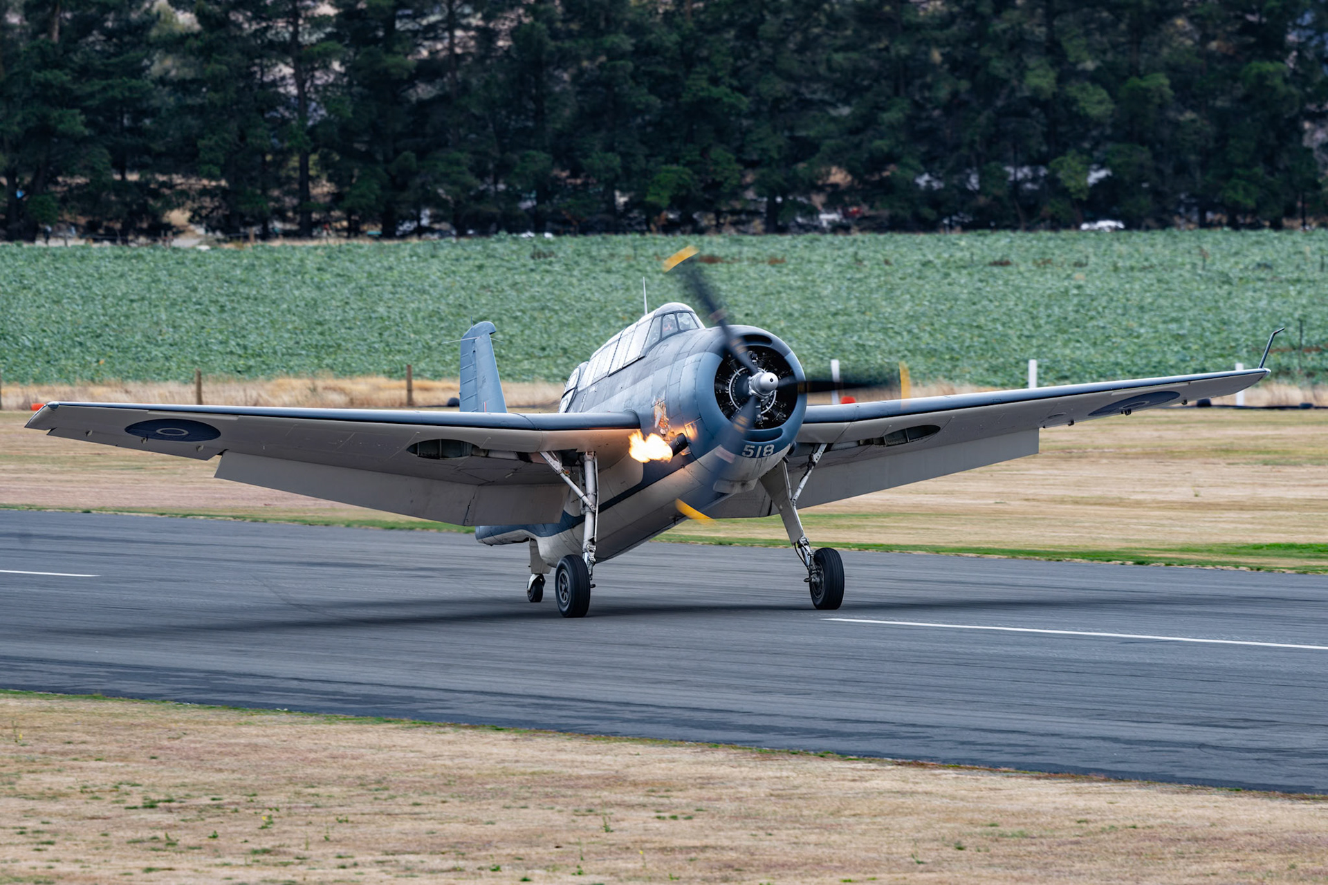 Grumman TBM-3E Avenger [ZK-TBE] on display at Warbirds over Wanaka, New Zealand