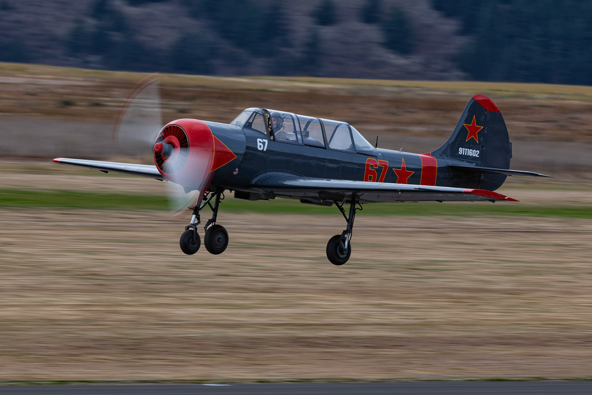 Yakovlev Yak-52 (Dark Grey Red Nose) [ZK-ZAY] on display at Warbirds over Wanaka, New Zealand
