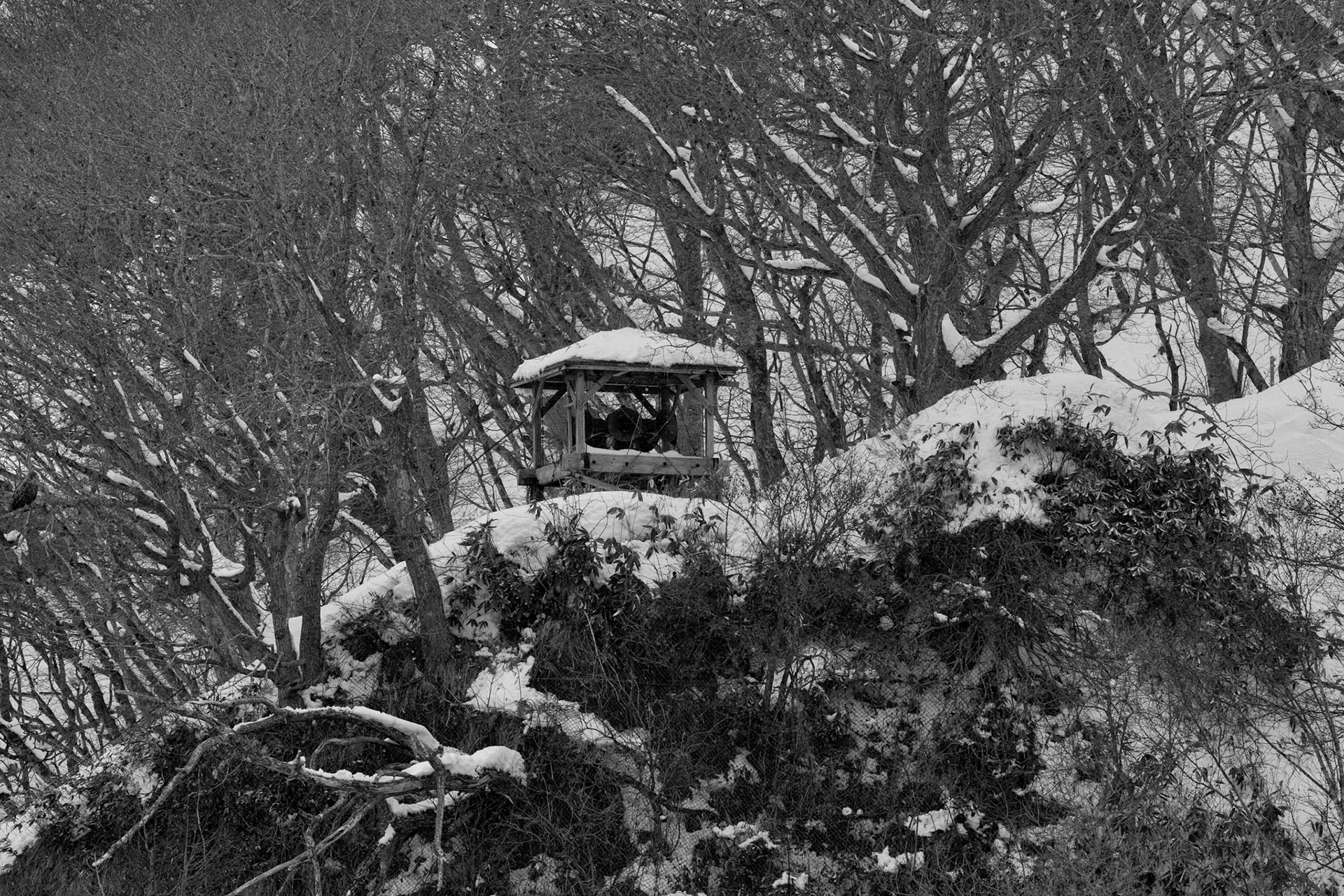 Work bells at Rausu Fishing Port on the Island of Hokkaido, Japan