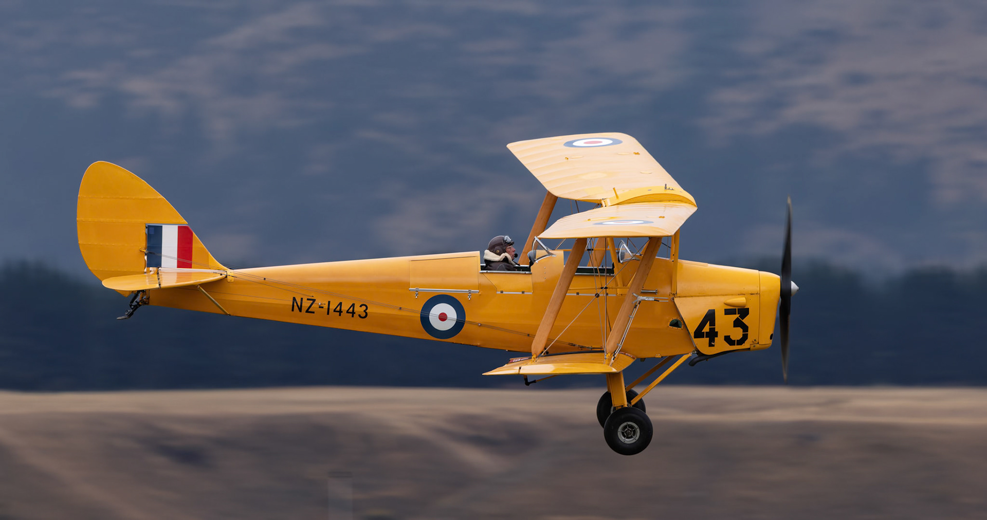 De Havilland DH-82 Tiger Moth (43) [ZK-BRL] on display at Warbirds over Wanaka, New Zealand