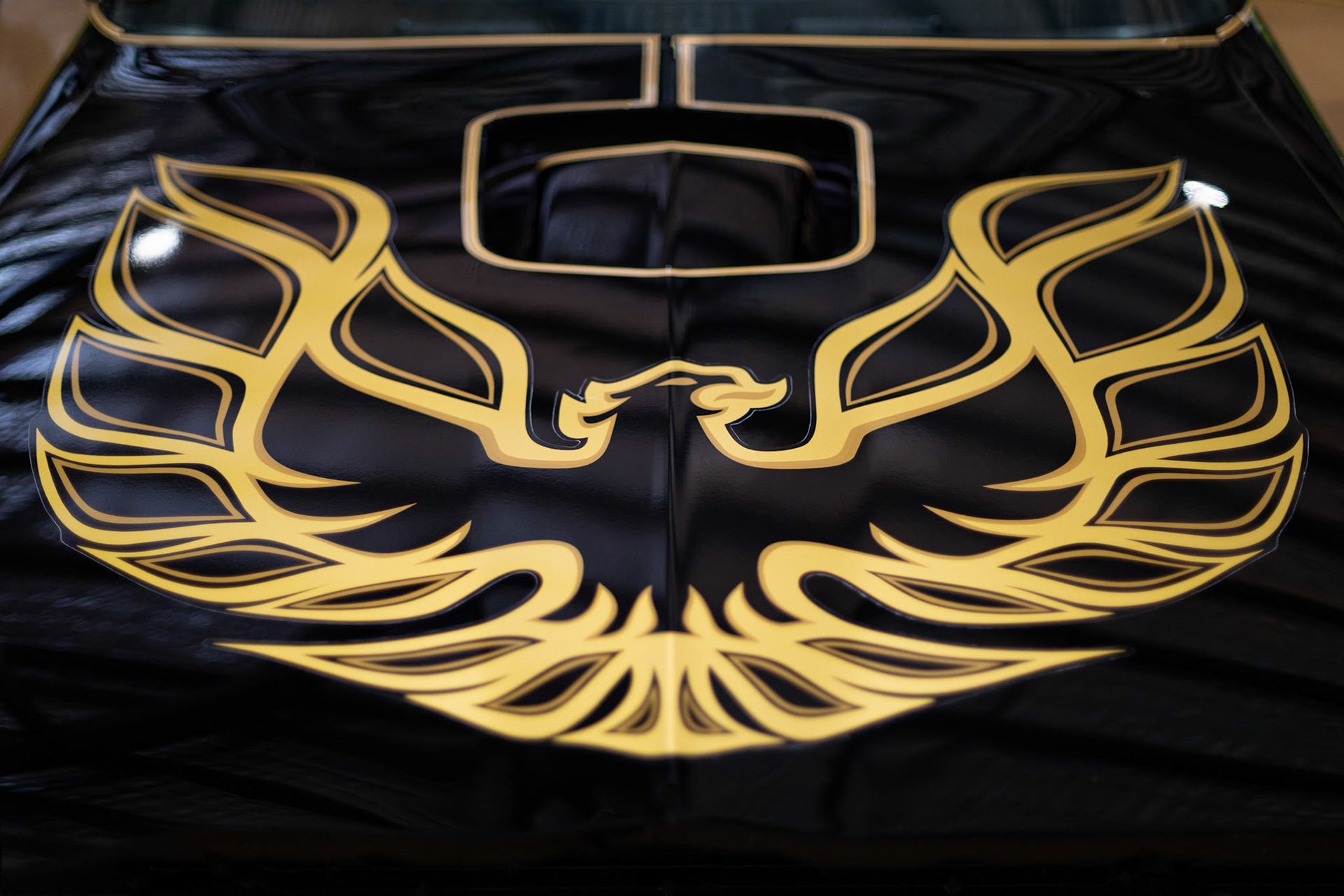 1977 Pontiac Trans AM Coupe Special Edition at the Gold Coast Motor Museum in Upper Coomera in Queensland, Australia