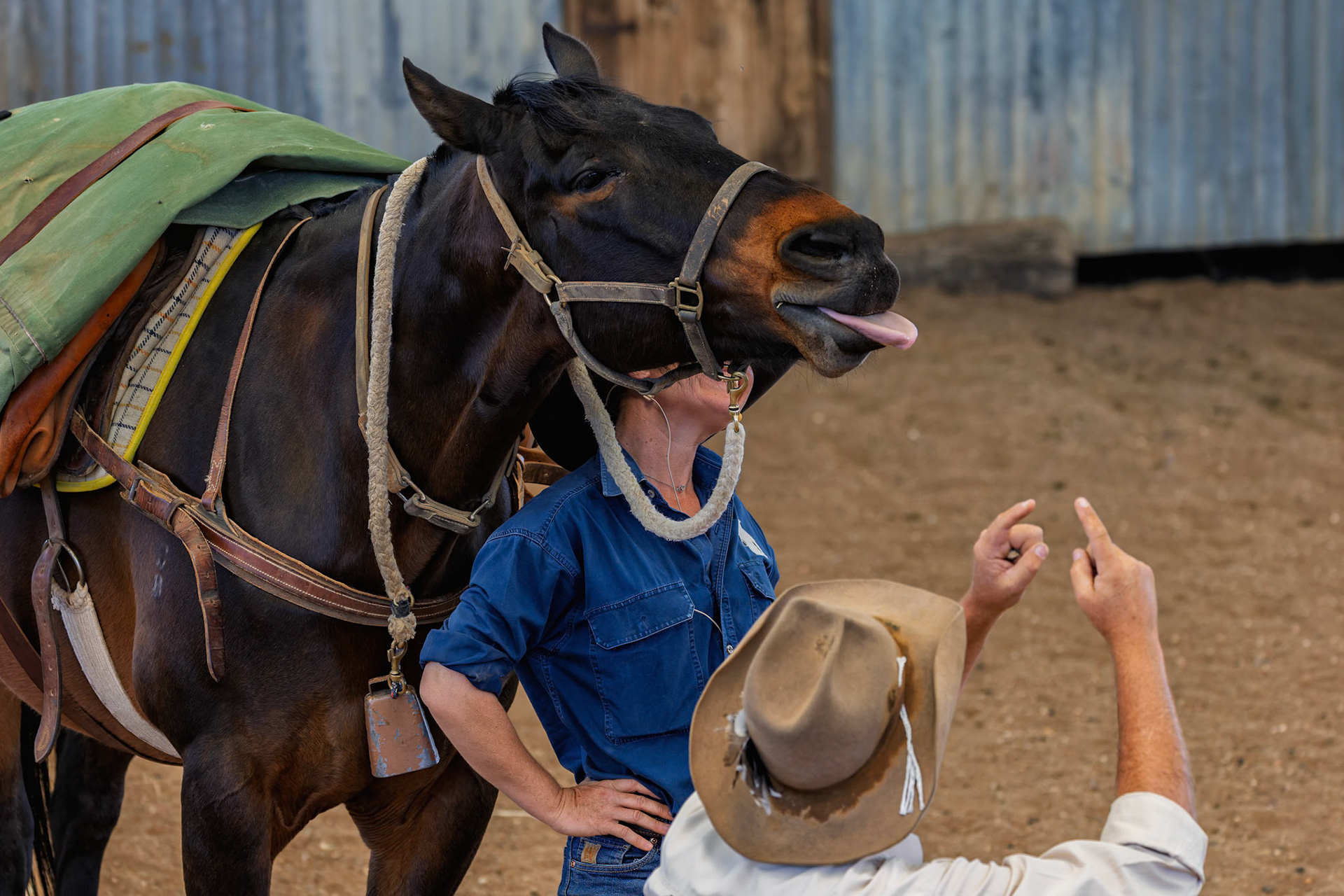 The Live Outback Stockmans Show at the Stockmans Hall of Fame in Longreach, Australia