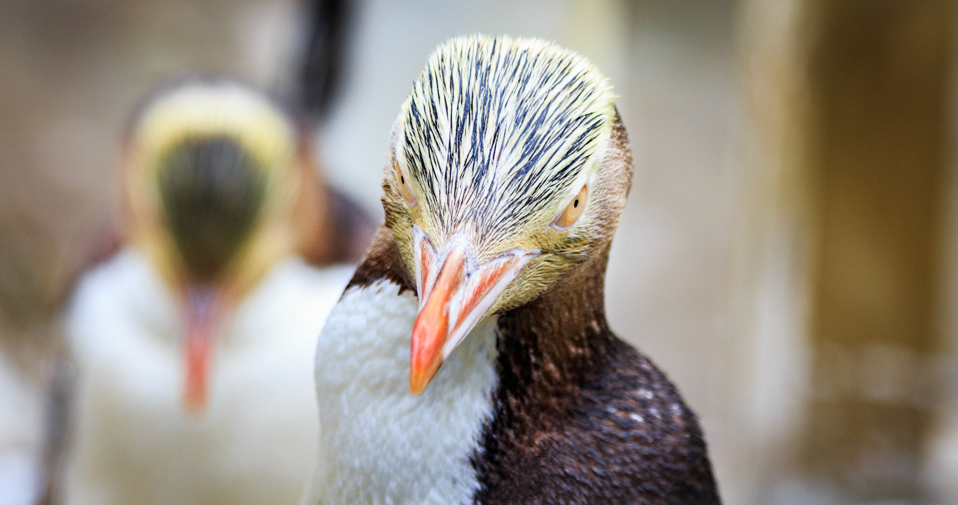 2015-03-03 - Penguin Place 11