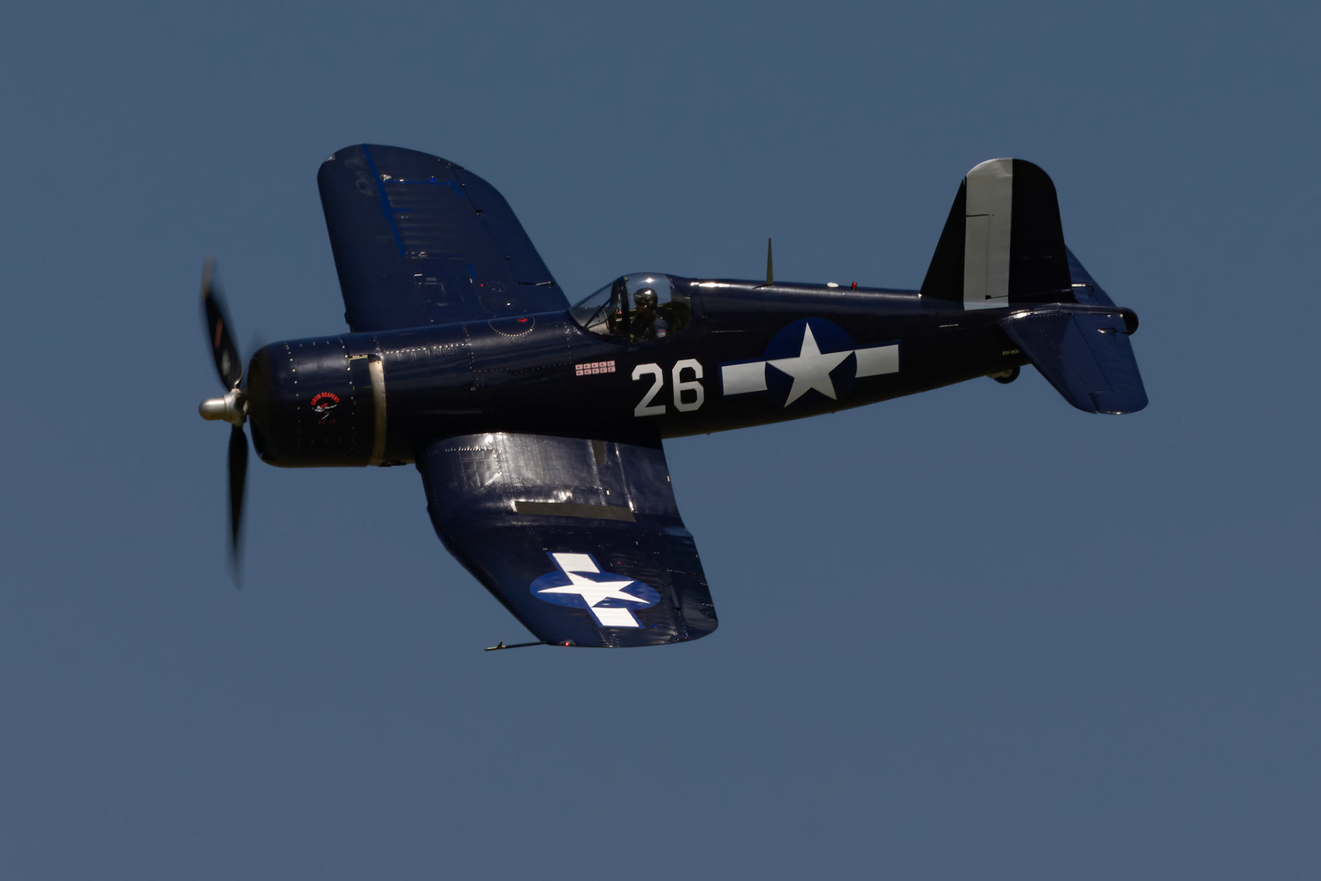 Paul Bennet in the Vought Corsair F4U-1D [VH-NQW] at the Barrington Coast Airshow in Taree, New South Wales, Australia. 9th of November, 2024
