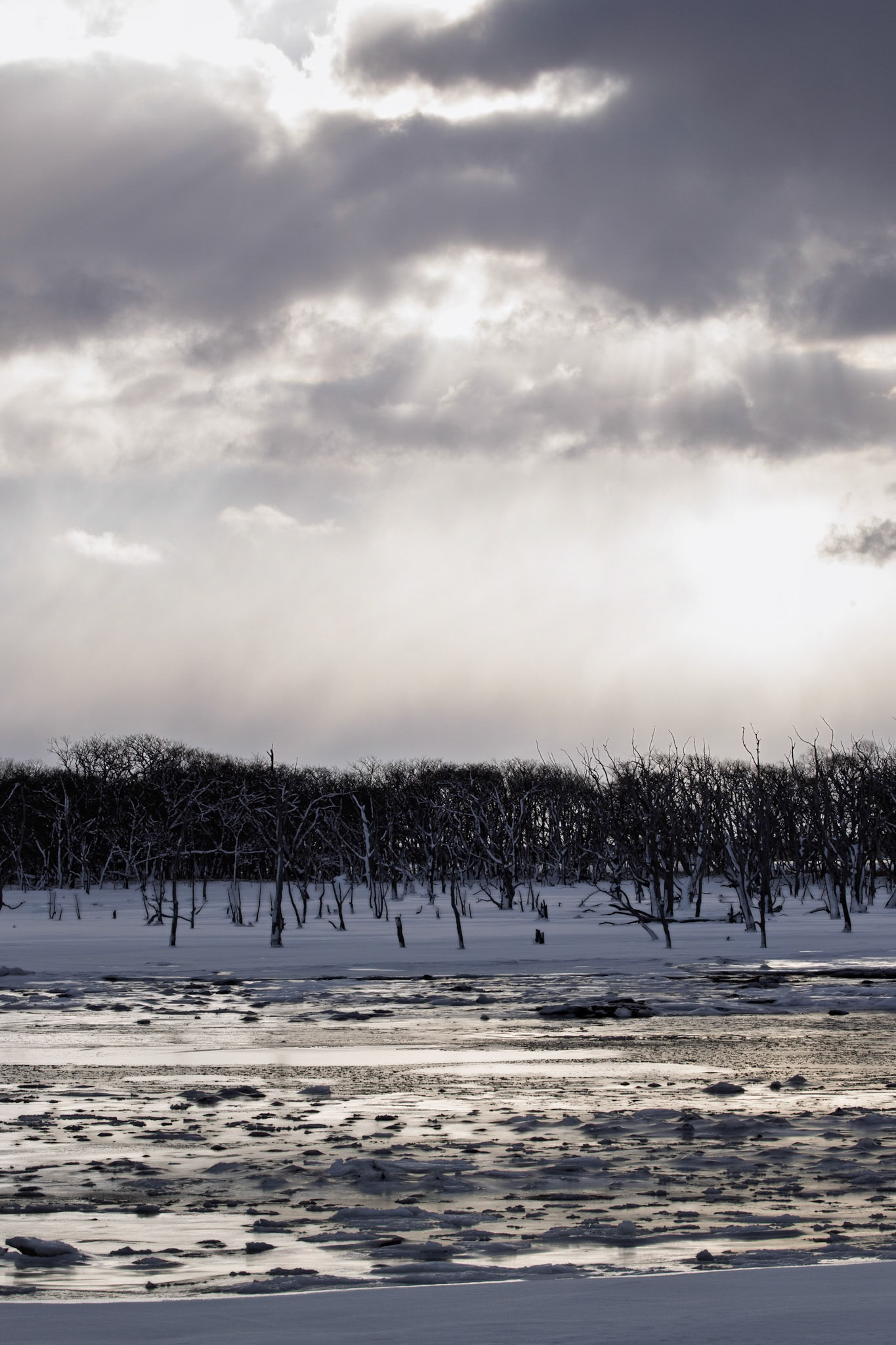 2025-02-07 - JA - Notsuke Peninsula 016