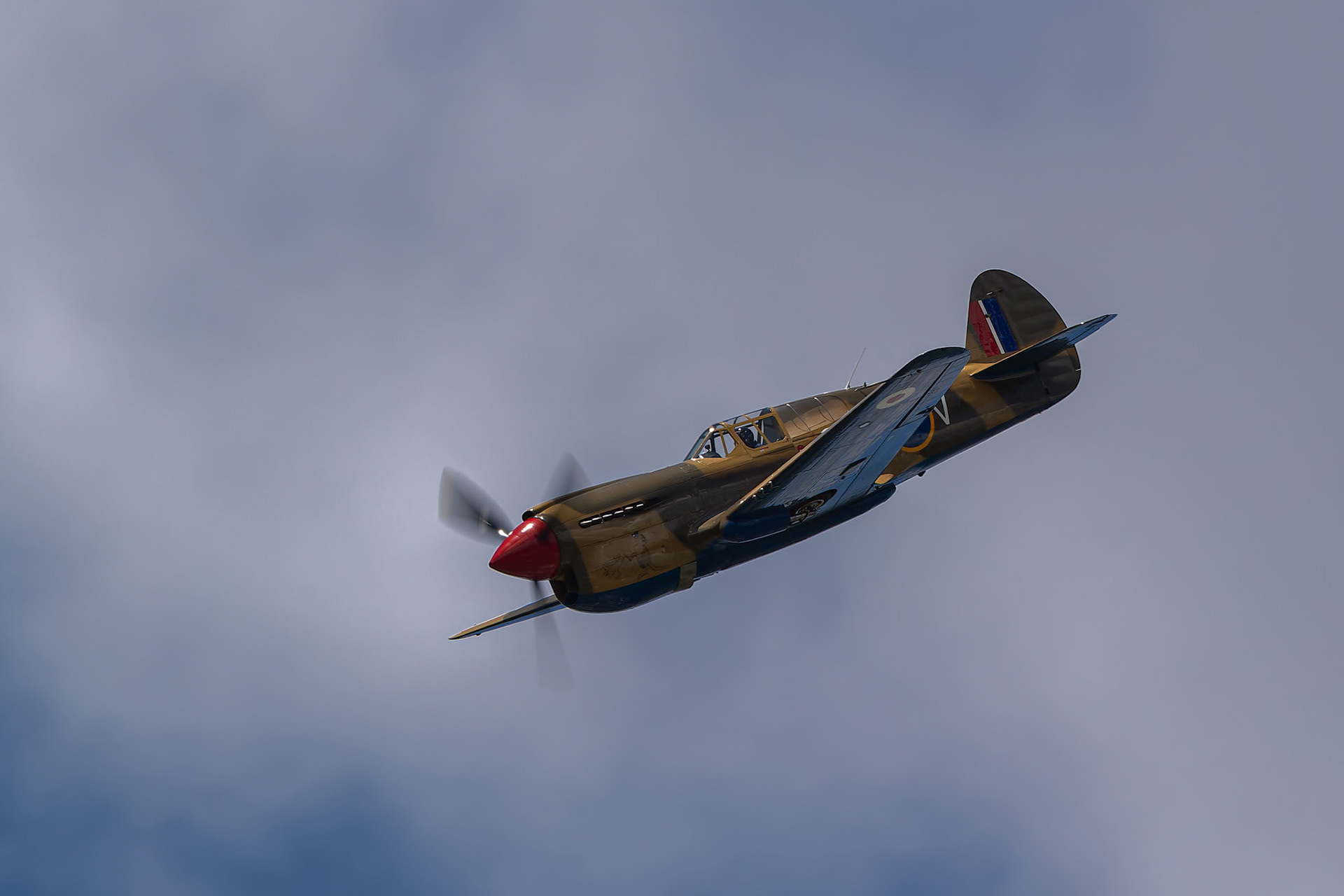 Paul Bennet in the Curtis P-40 Kittyhawk [VH-KTY] at the Barrington Coast Airshow in Taree, New South Wales, Australia. 9th of November, 2024