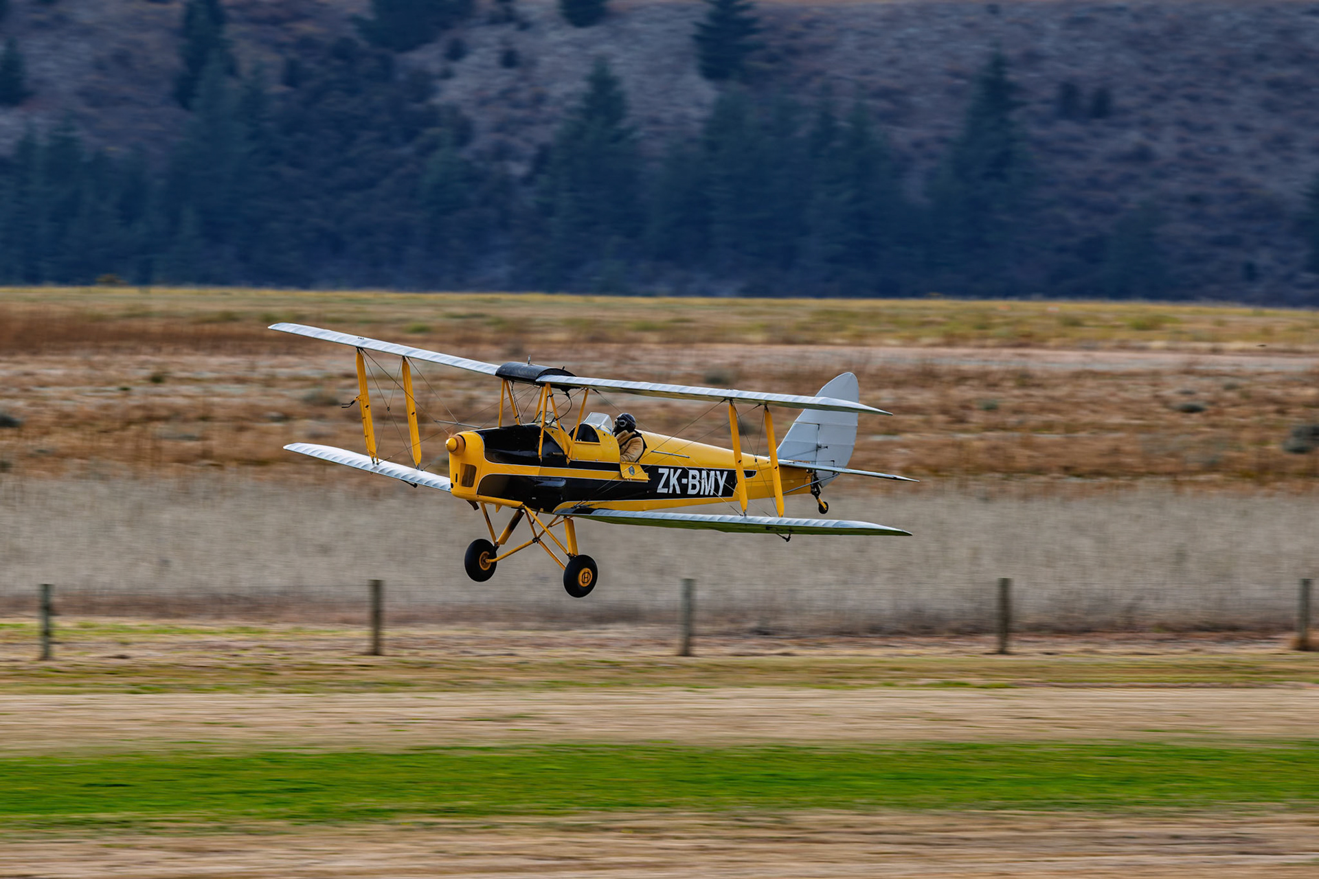 De Havilland DH-82 Tiger Moth (Yellow-Black) [ZK-BMY] on display at Warbirds over Wanaka, New Zealand