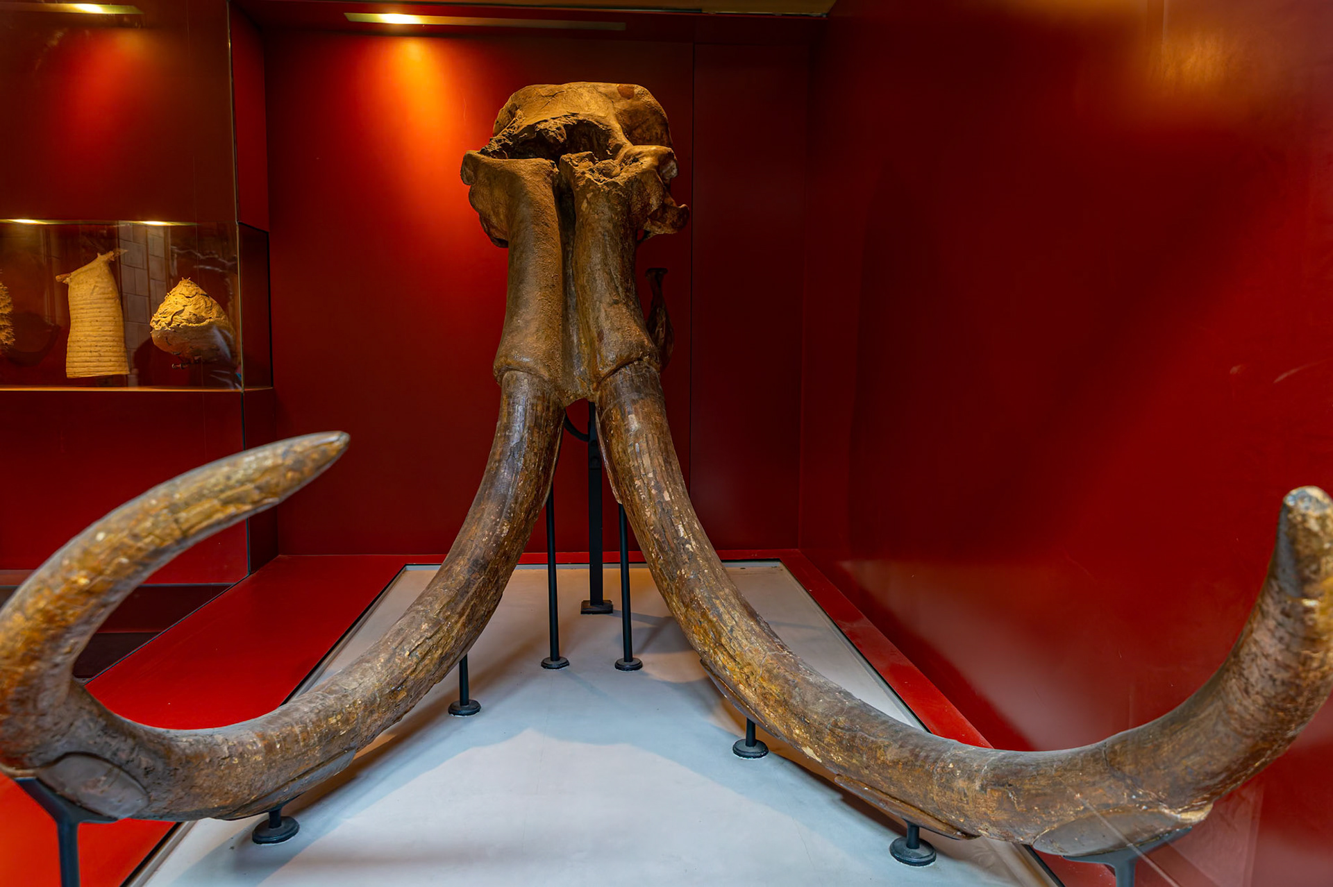Natural History Museum in London, England