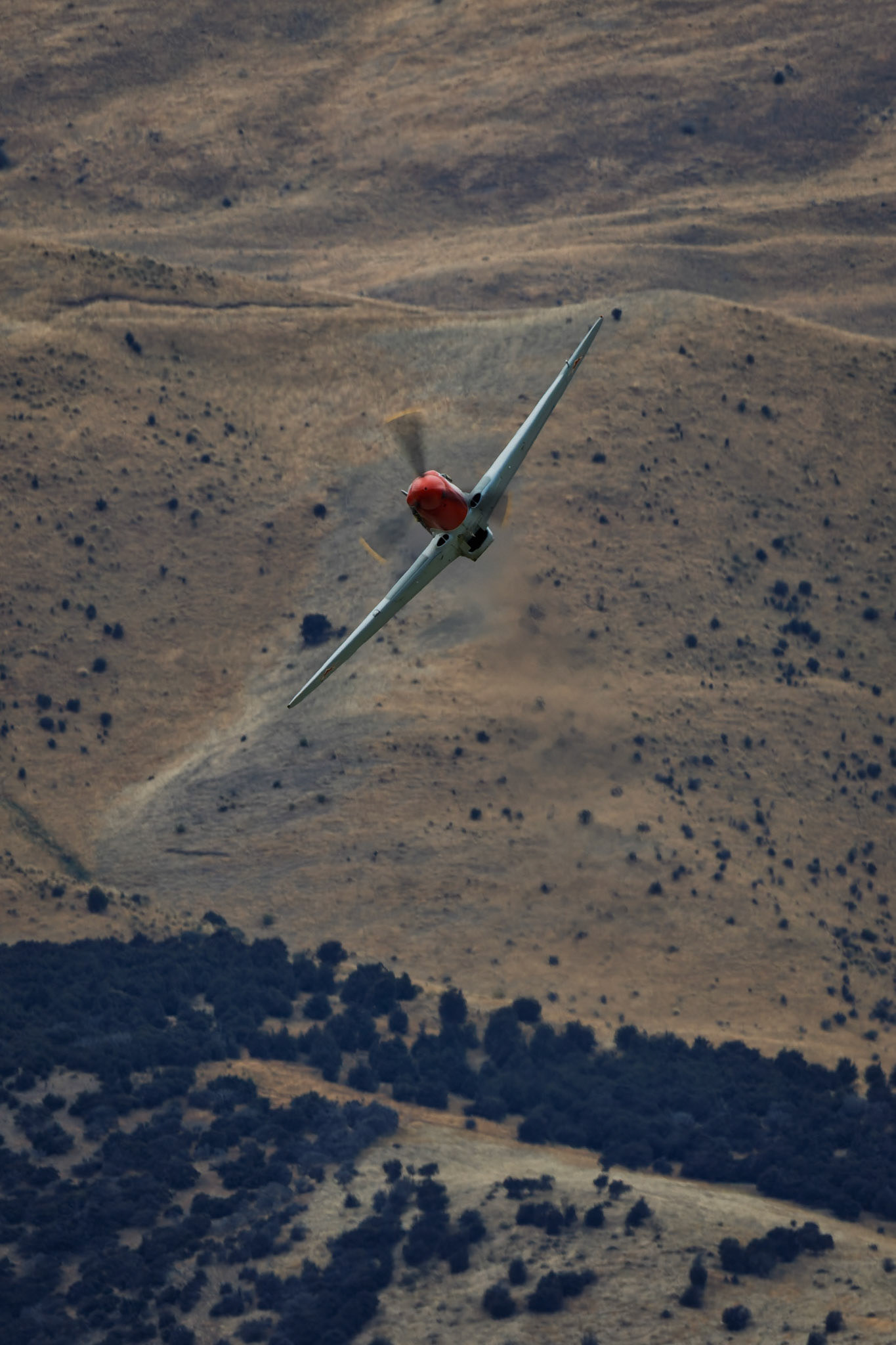 Yakovlev Yak-3M (Full Noise) [ZK-VVS] on display at Warbirds over Wanaka, New Zealand